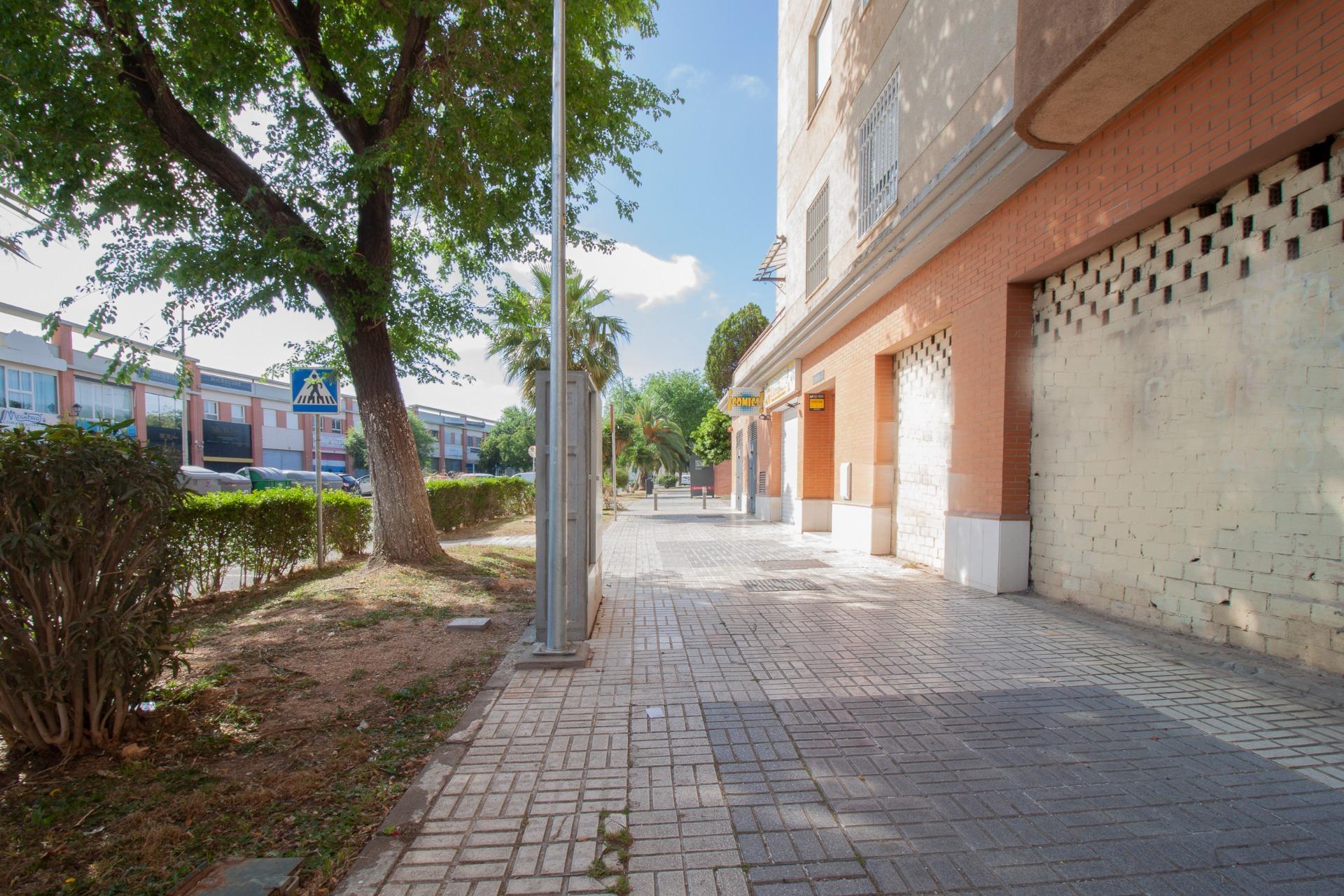 Negocios-Venta-Burguillos-2416253-Foto-15