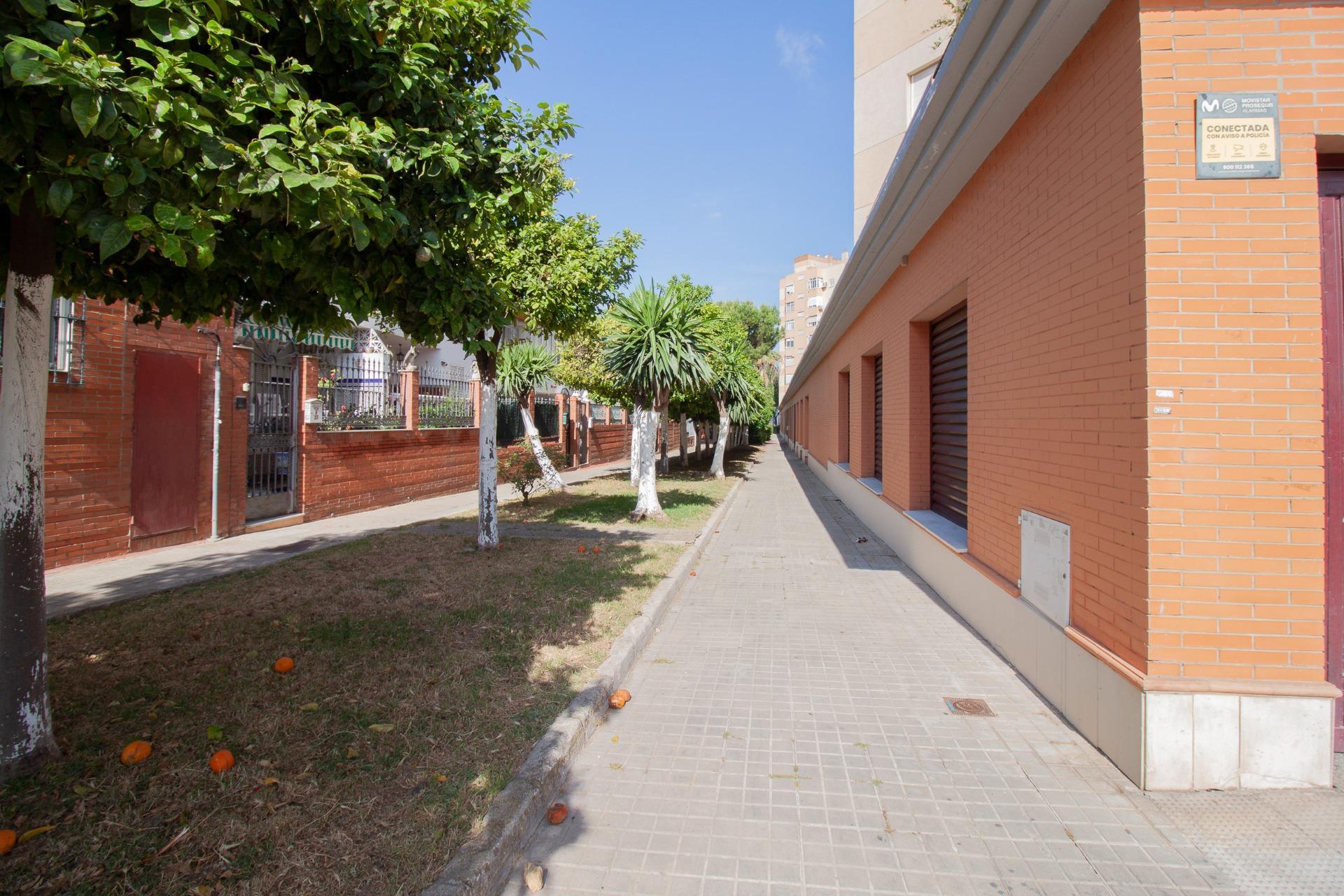 Negocios-Venta-Burguillos-2416253-Foto-21