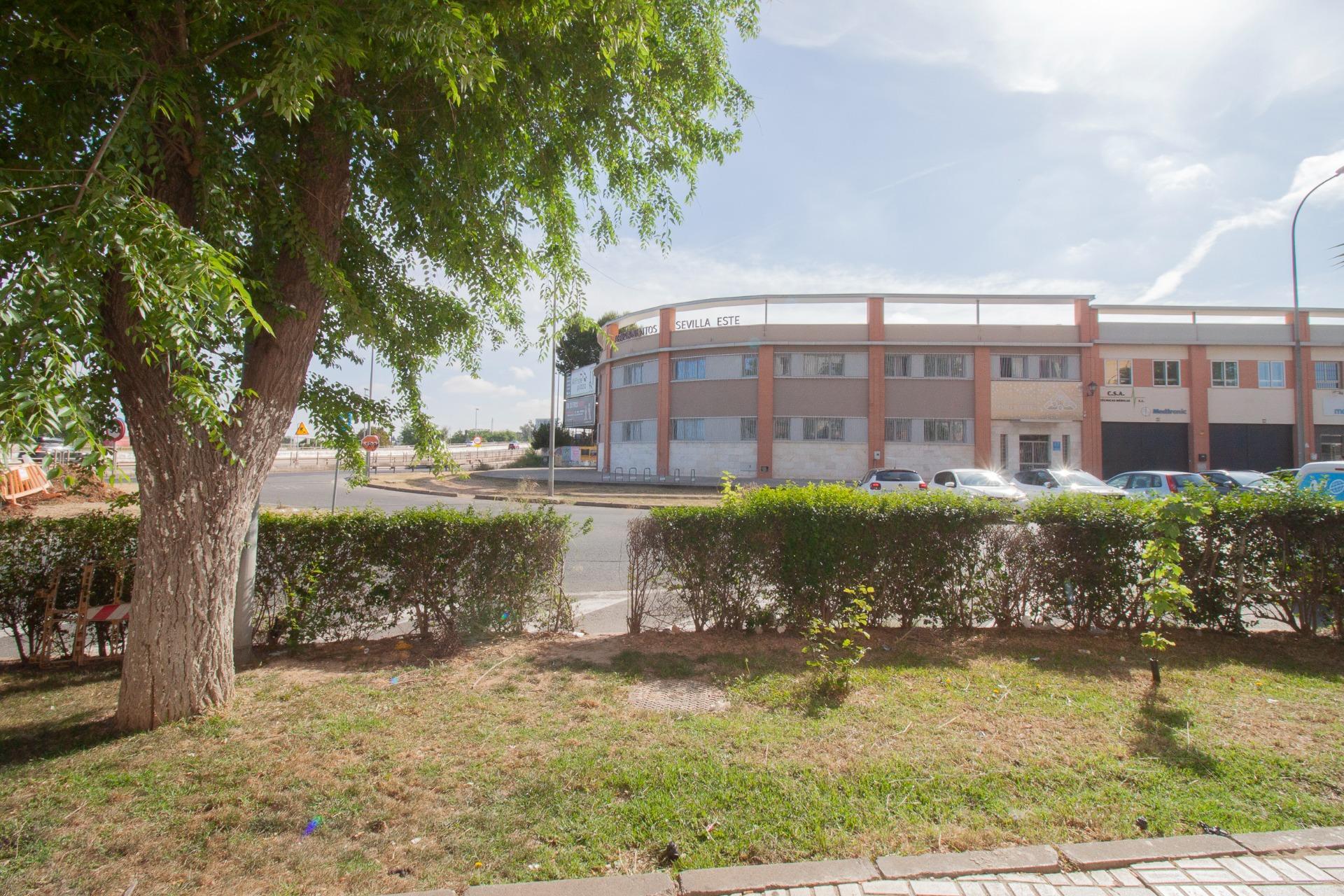 Negocios-Venta-Burguillos-2416253-Foto-27