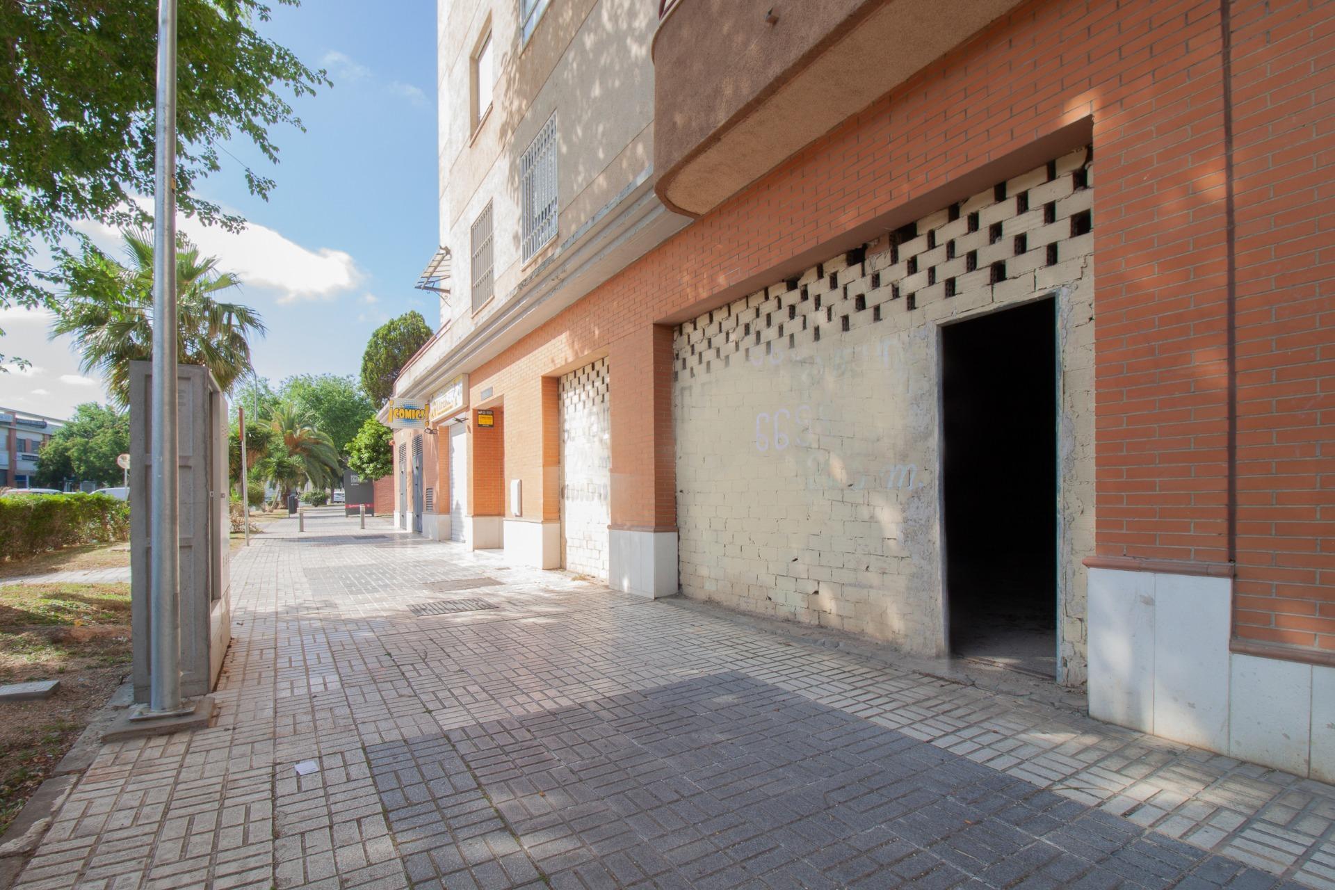 Negocios-Venta-Burguillos-2416253-Foto-23