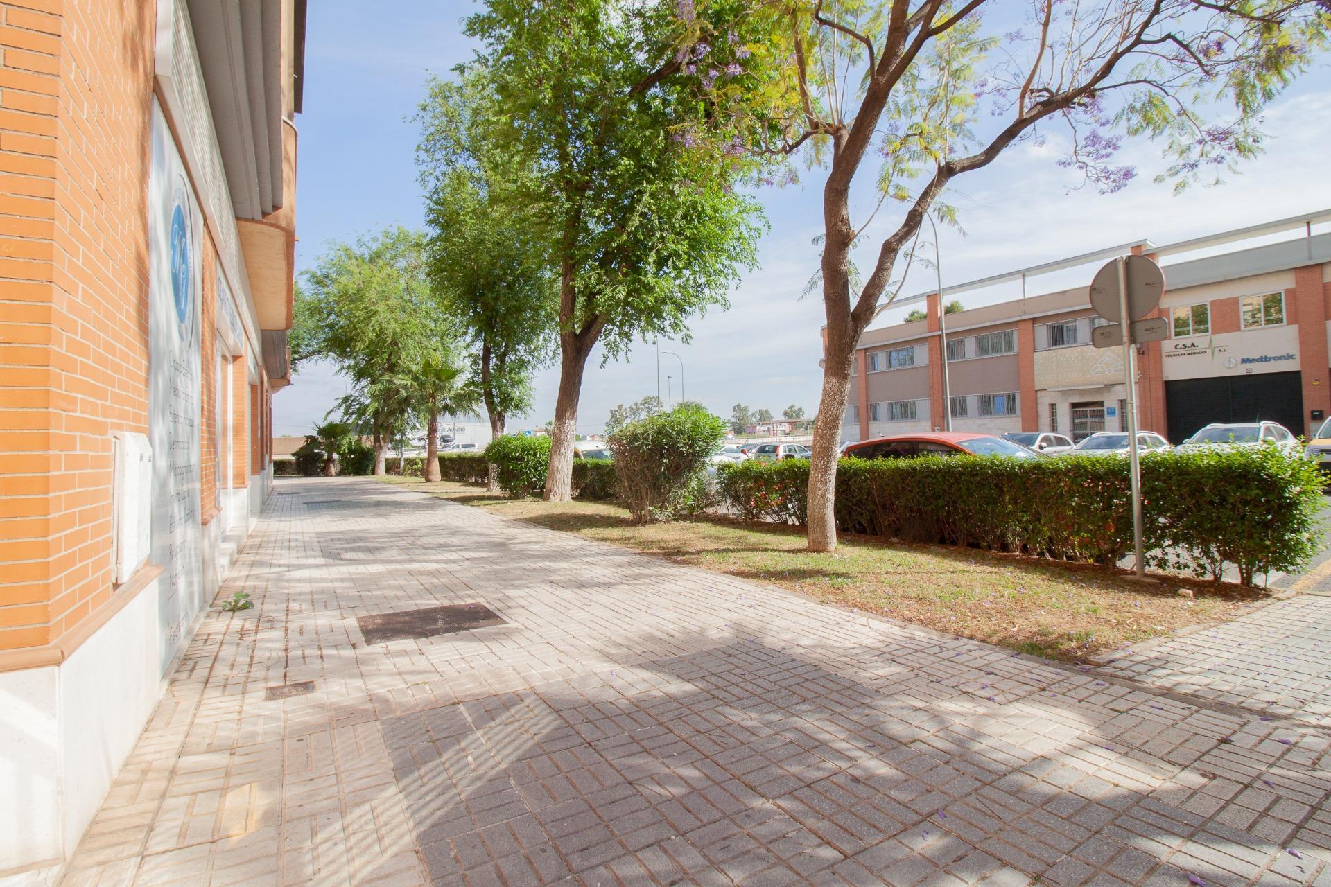 Negocios-Venta-Burguillos-2416253-Foto-24