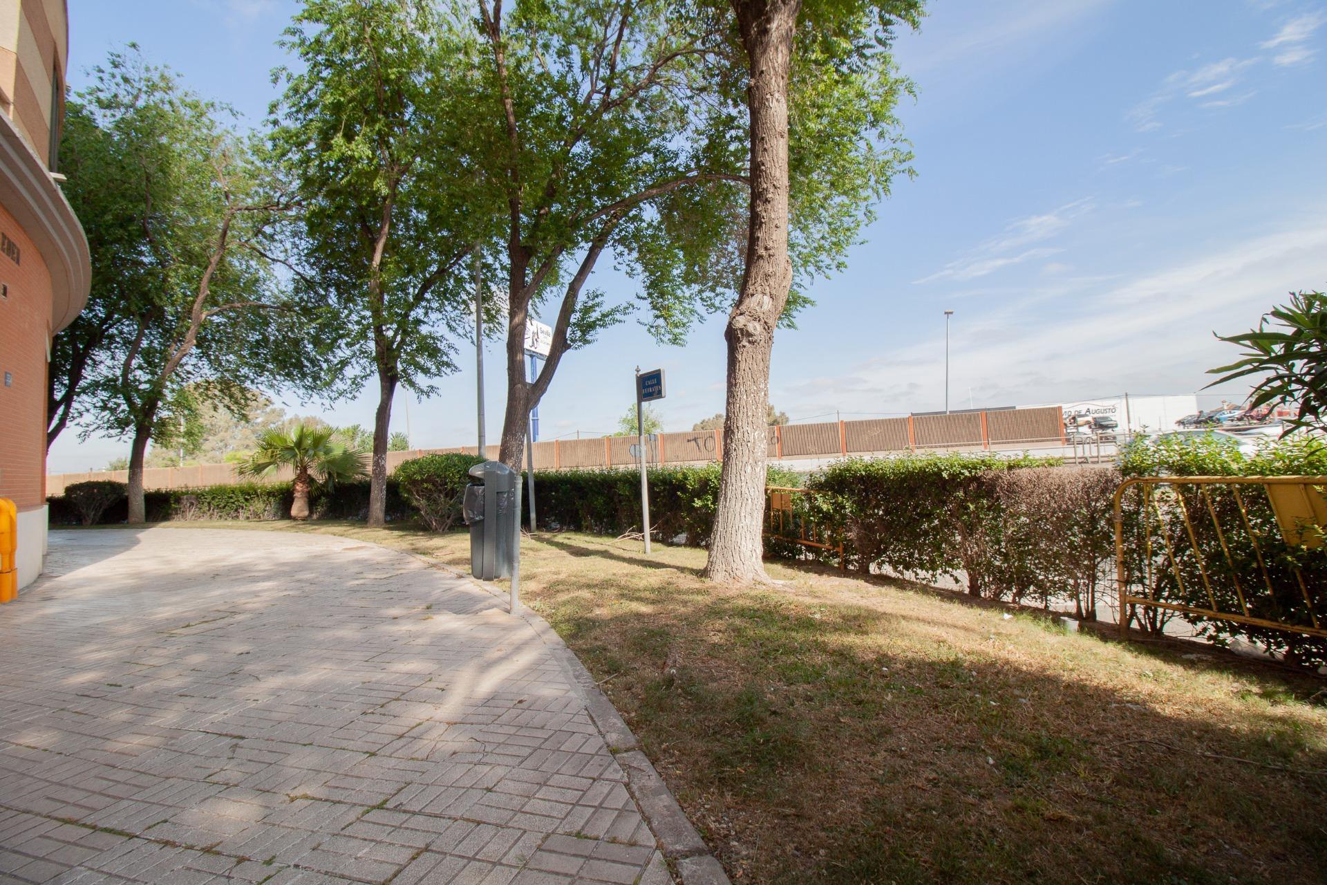 Negocios-Venta-Burguillos-2416253-Foto-25