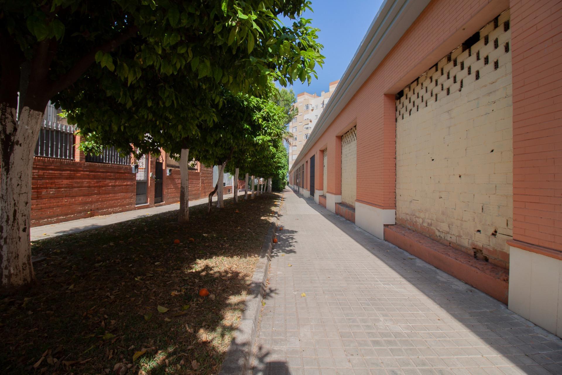 Negocios-Venta-Burguillos-2416253-Foto-30