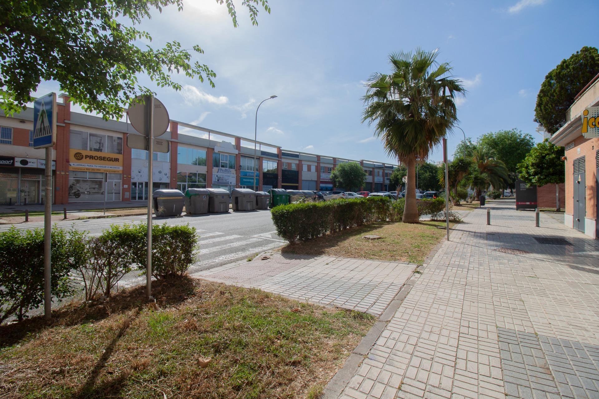 Negocios-Venta-Burguillos-2416253-Foto-29