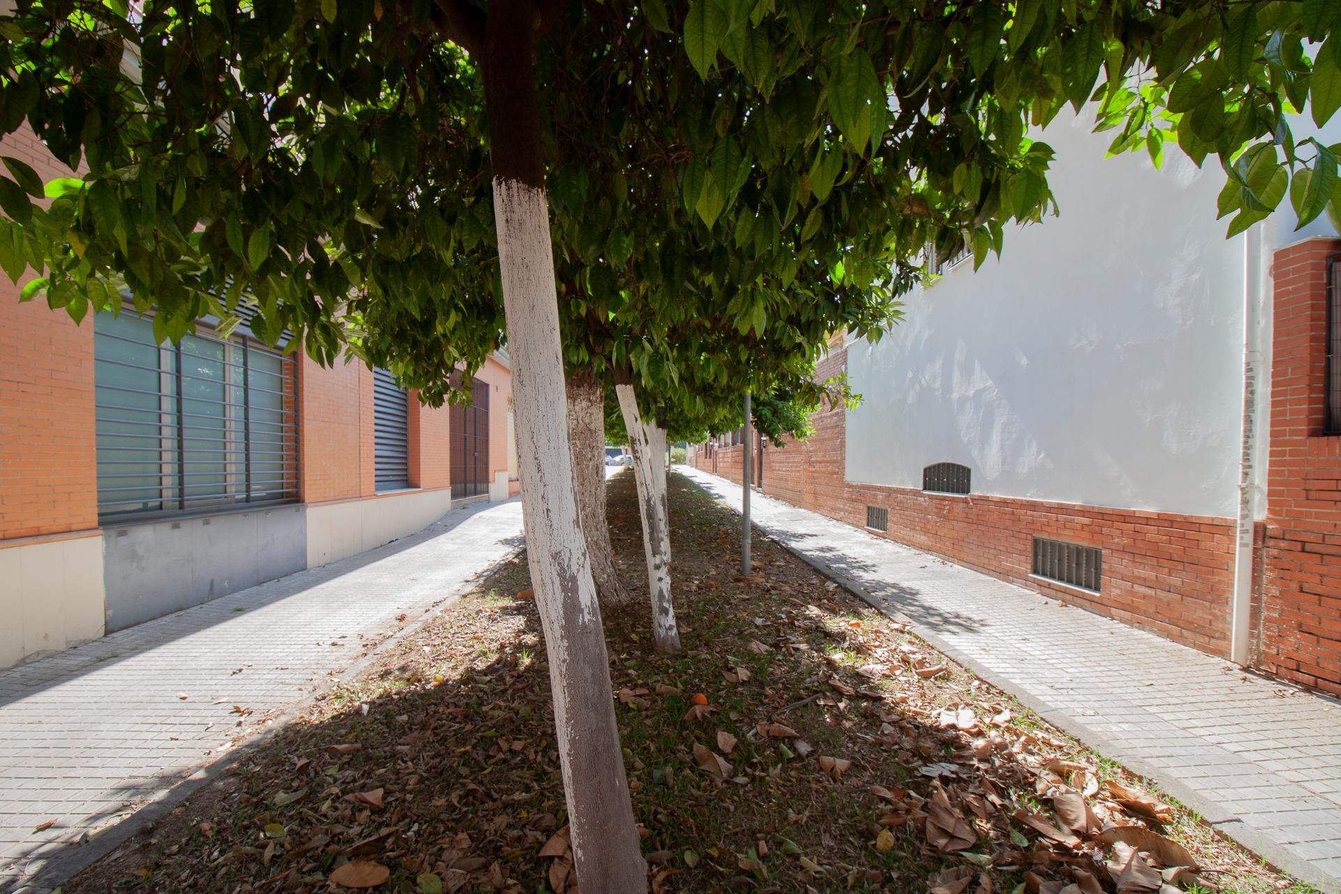 Negocios-Venta-Burguillos-2416253-Foto-31