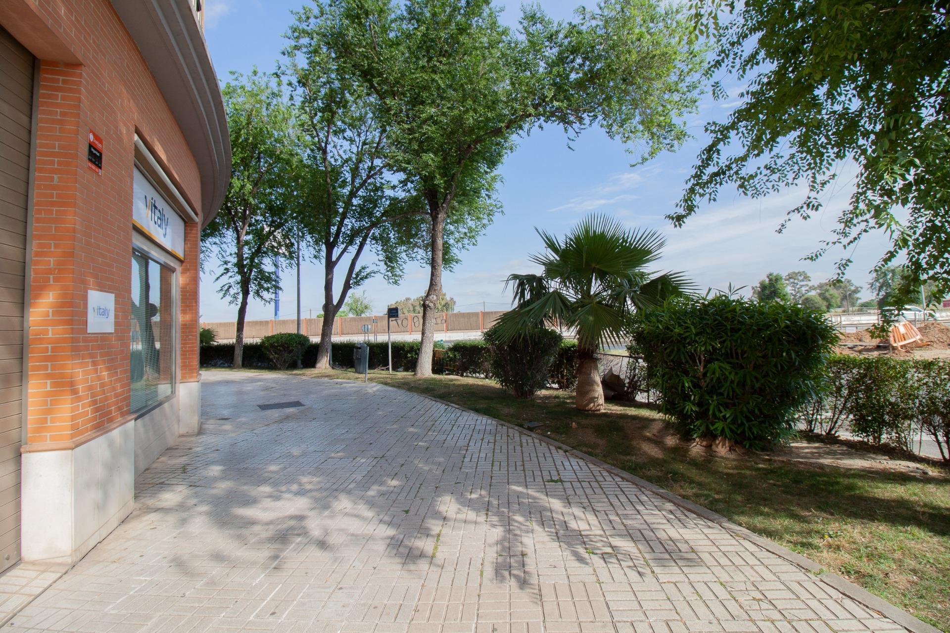 Negocios-Venta-Burguillos-2416253-Foto-43