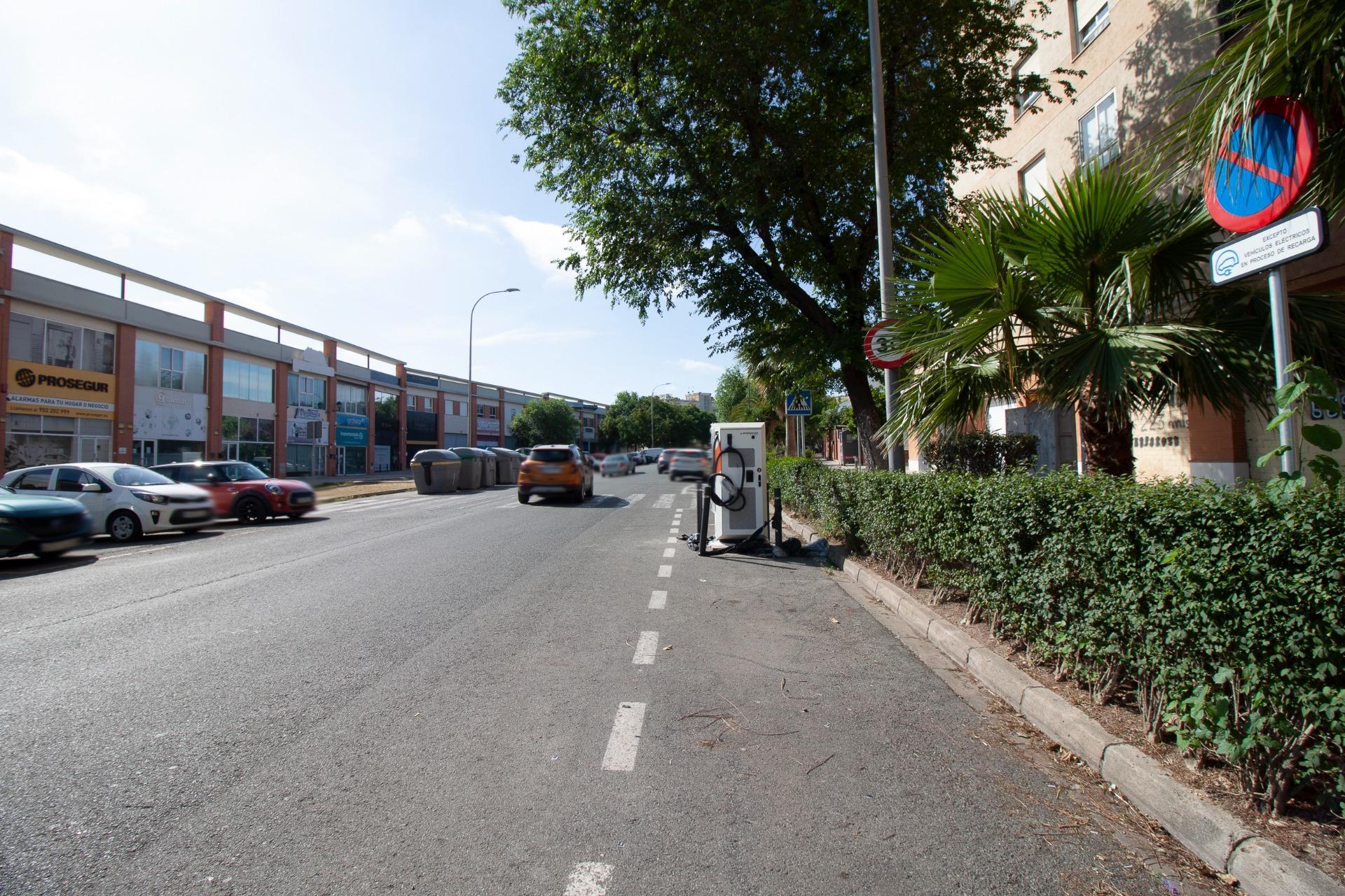 Negocios-Venta-Burguillos-2416253-Foto-44