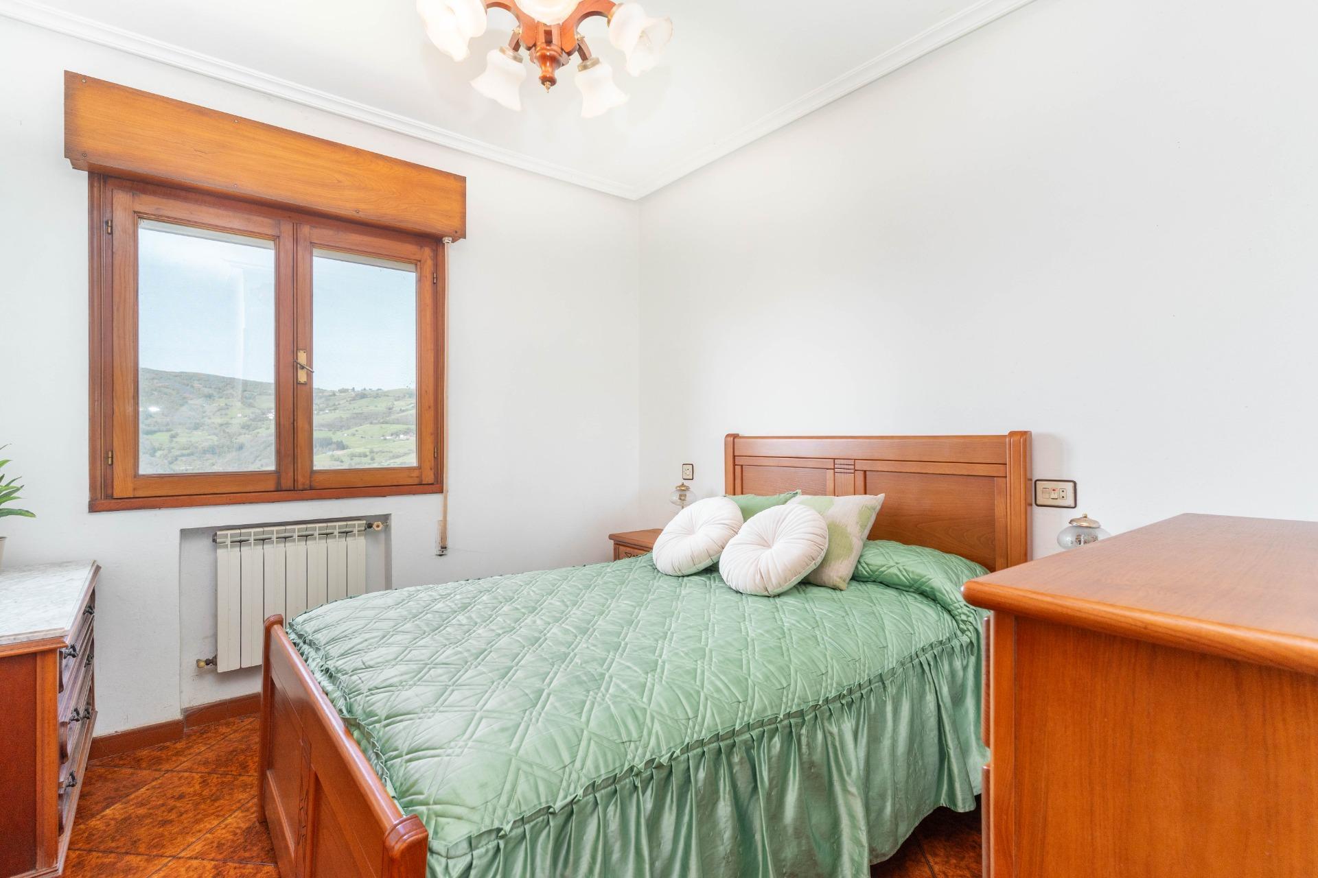 Casas o chalets-Venta-Cangas del Narcea-2410830-Foto-24