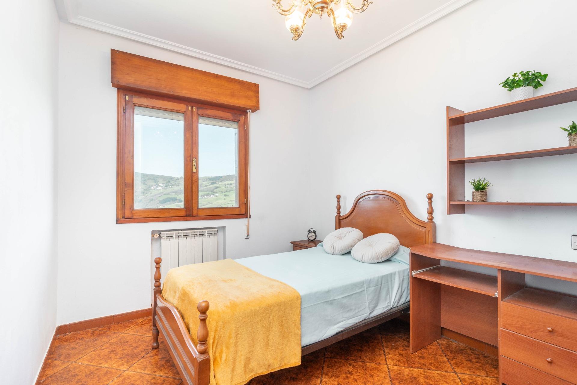 Casas o chalets-Venta-Cangas del Narcea-2410830-Foto-35