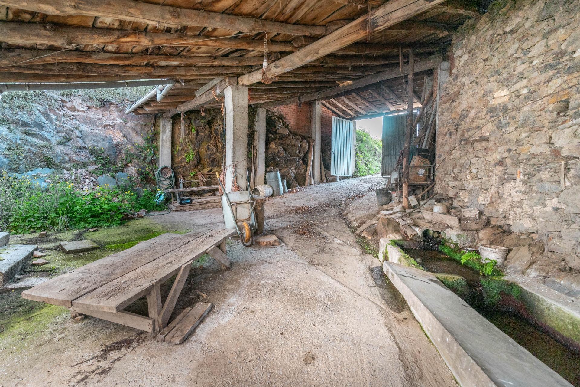 Casas o chalets-Venta-Cangas del Narcea-2410830-Foto-50