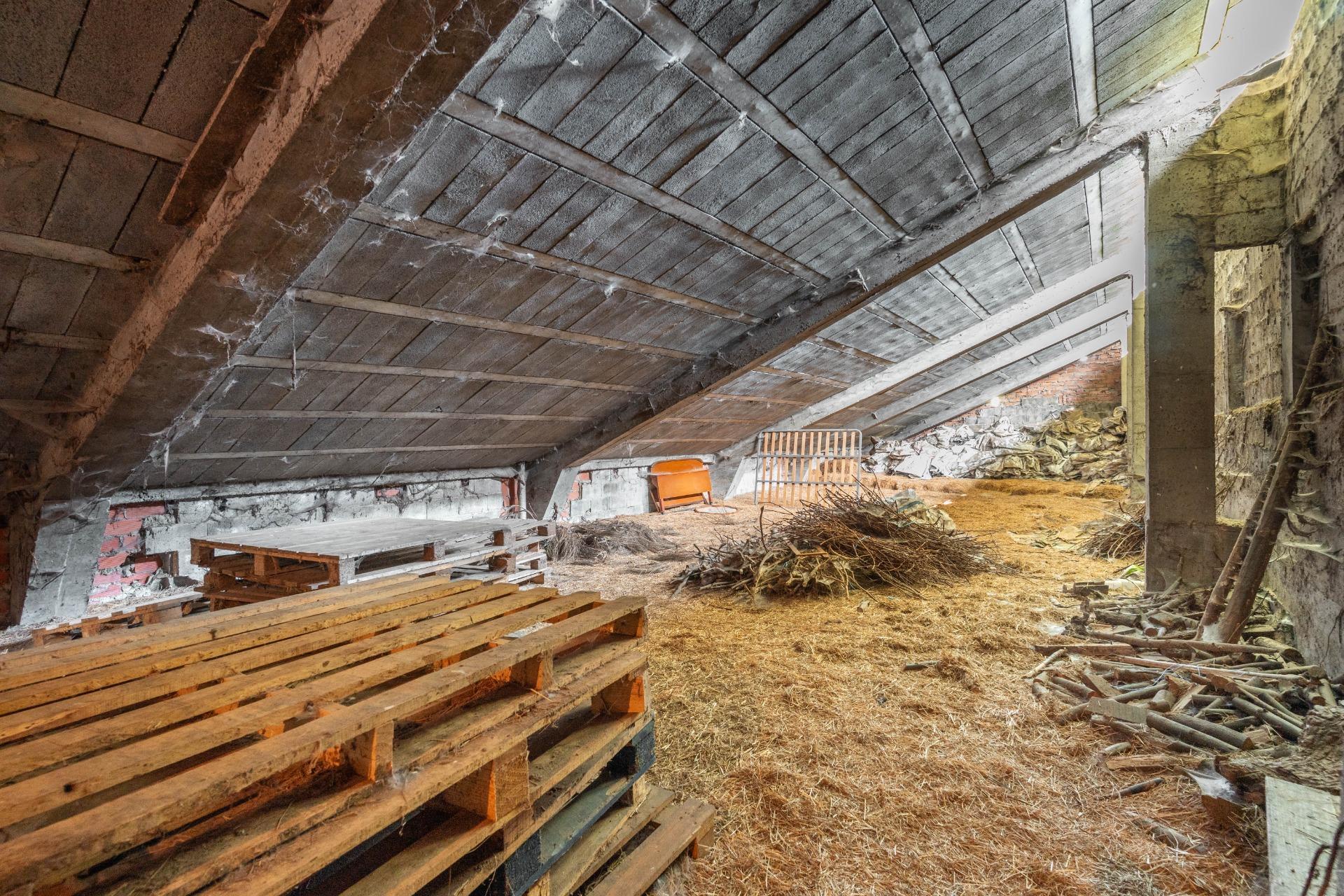 Casas o chalets-Venta-Cangas del Narcea-2410830-Foto-70