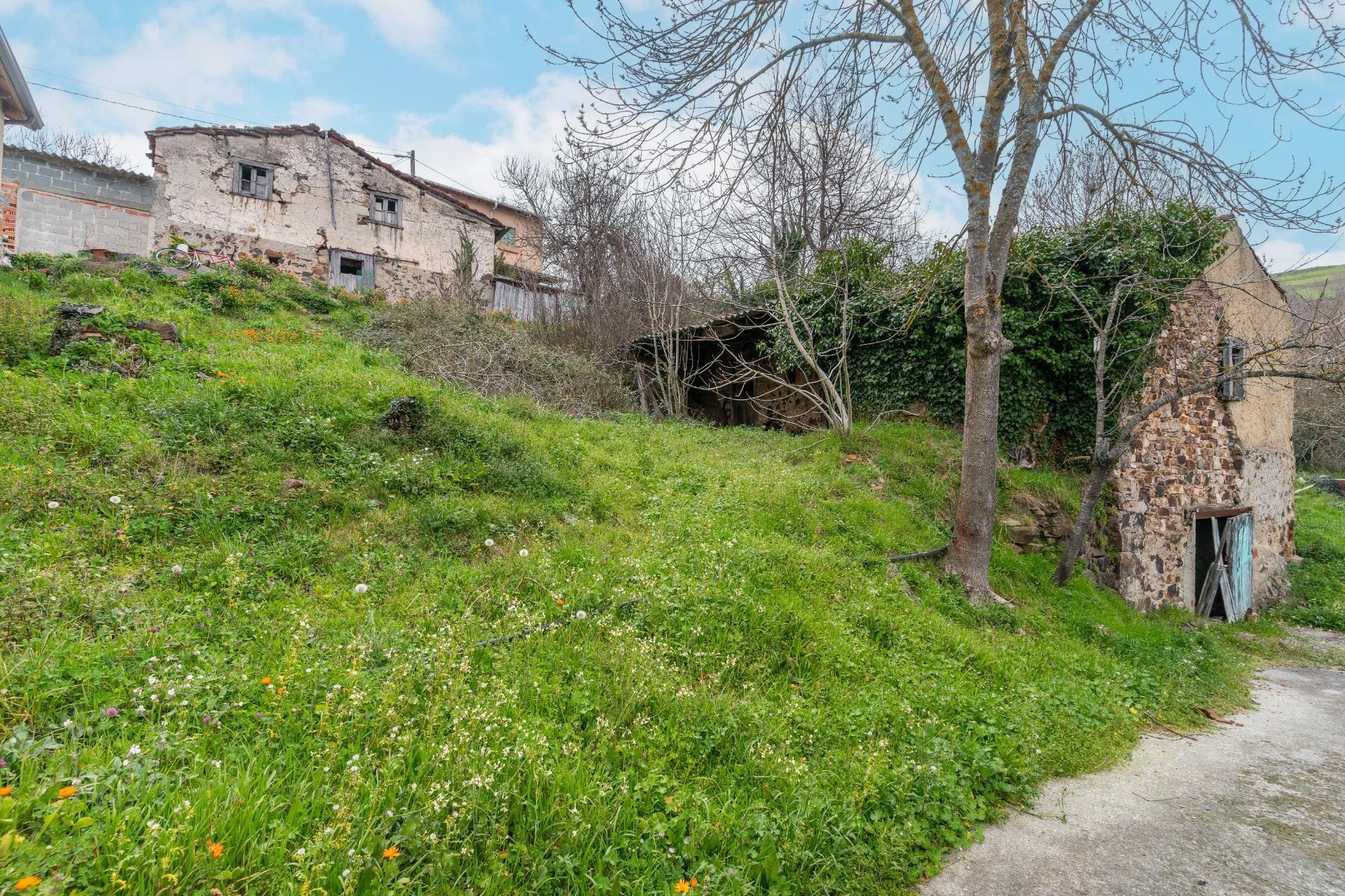 Casas o chalets-Venta-Cangas del Narcea-2238214-Foto-51