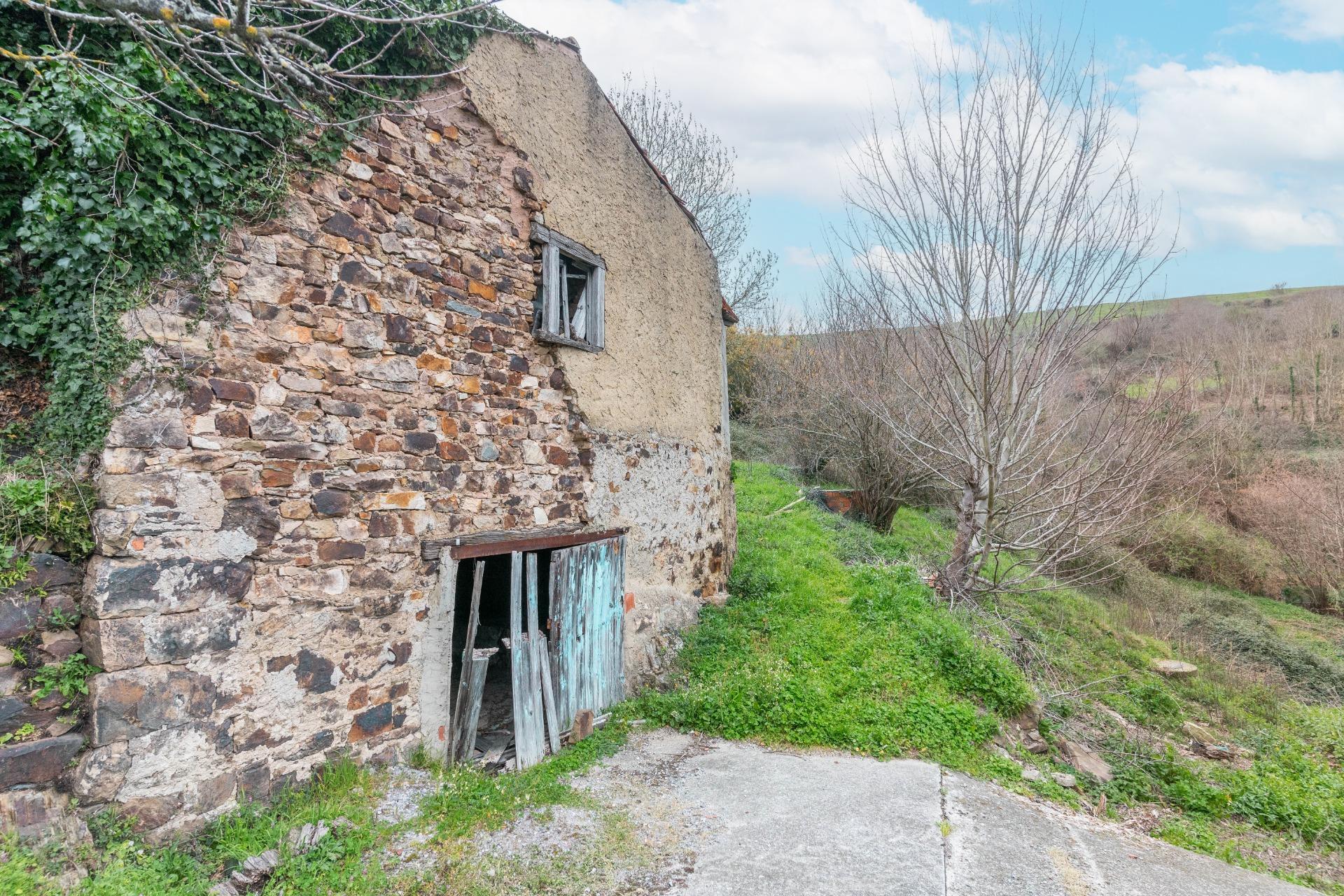 Casas o chalets-Venta-Cangas del Narcea-2238214-Foto-52