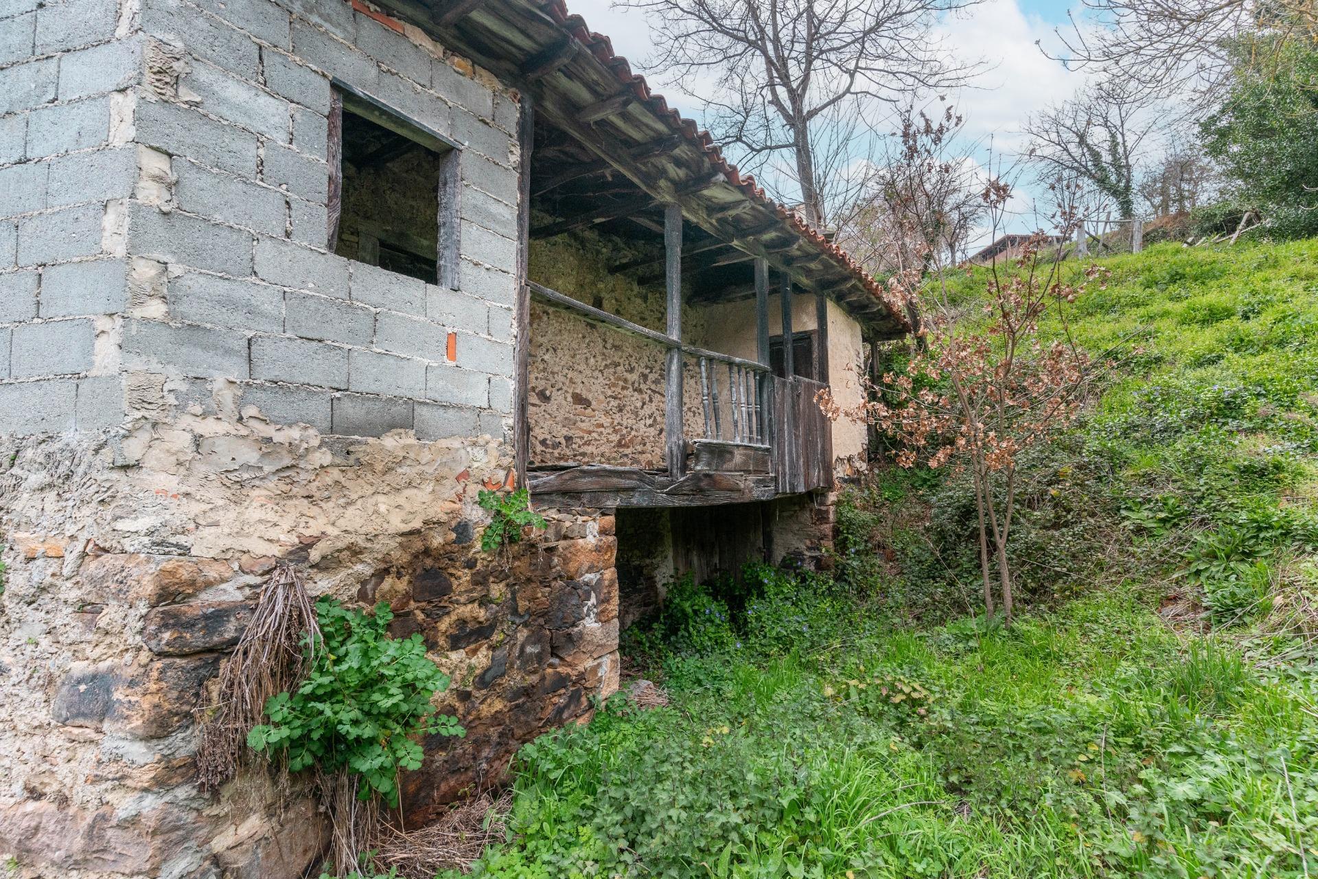 Casas o chalets-Venta-Cangas del Narcea-2238214-Foto-53