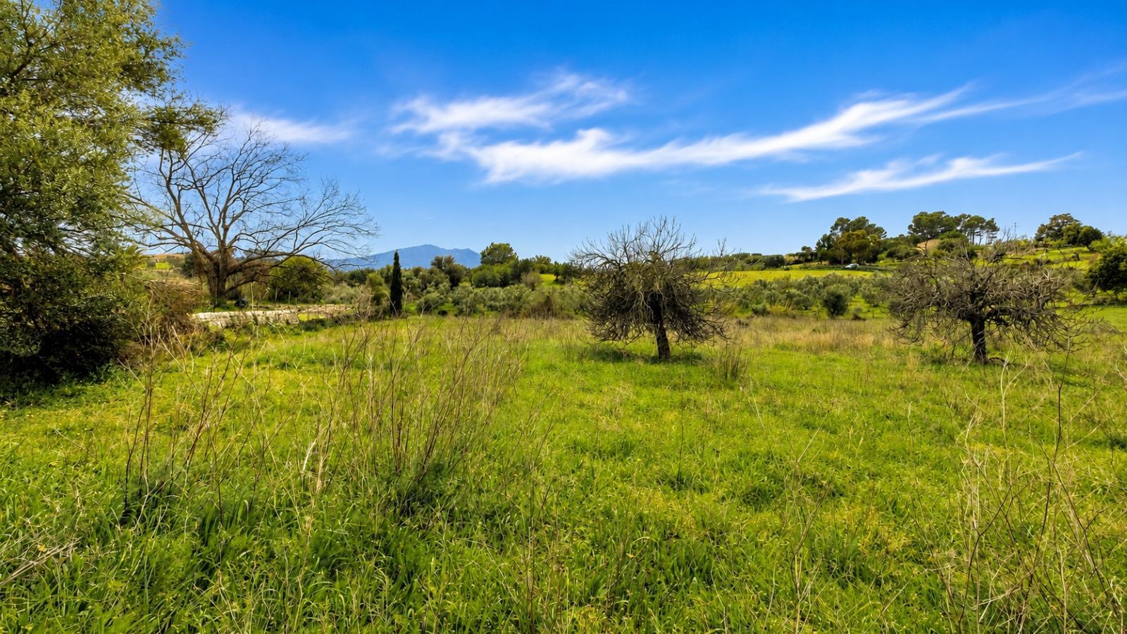 Fincas y solares-Venta-BÃºger-2416313-Foto-13