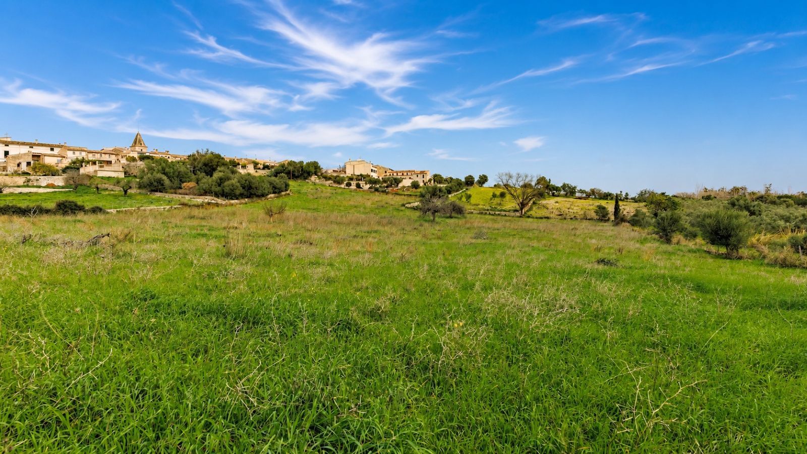 Fincas y solares-Venta-BÃºger-2416313-Foto-11