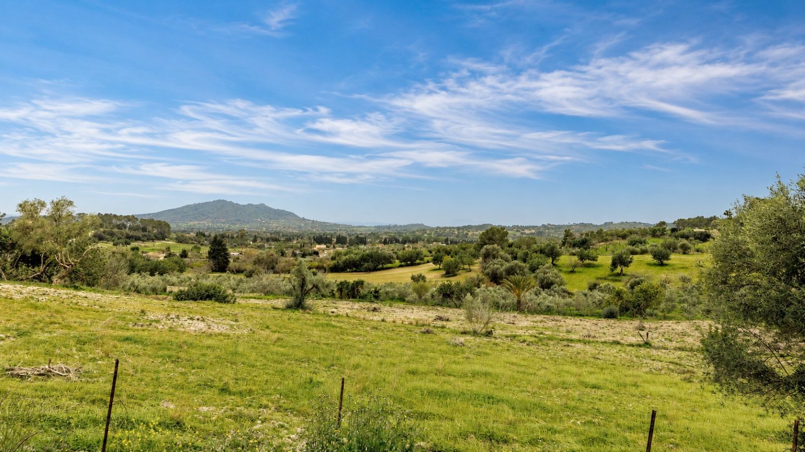 Fincas y solares-Venta-BÃºger-2416313-Foto-16