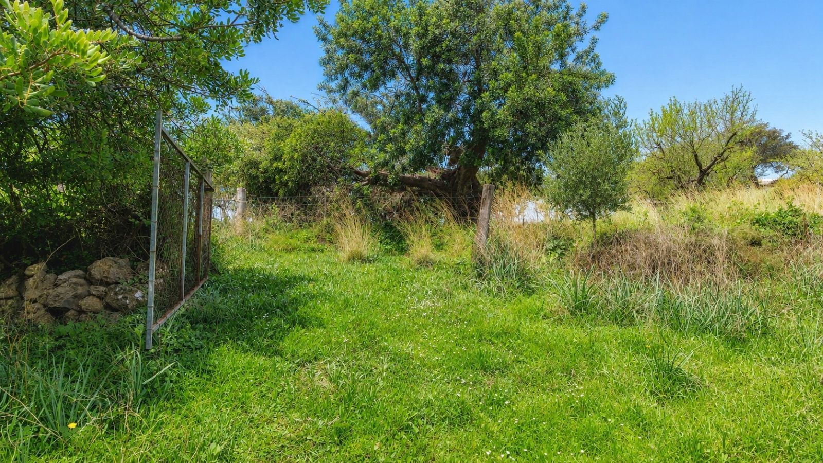Fincas y solares-Venta-BÃºger-2416313-Foto-18