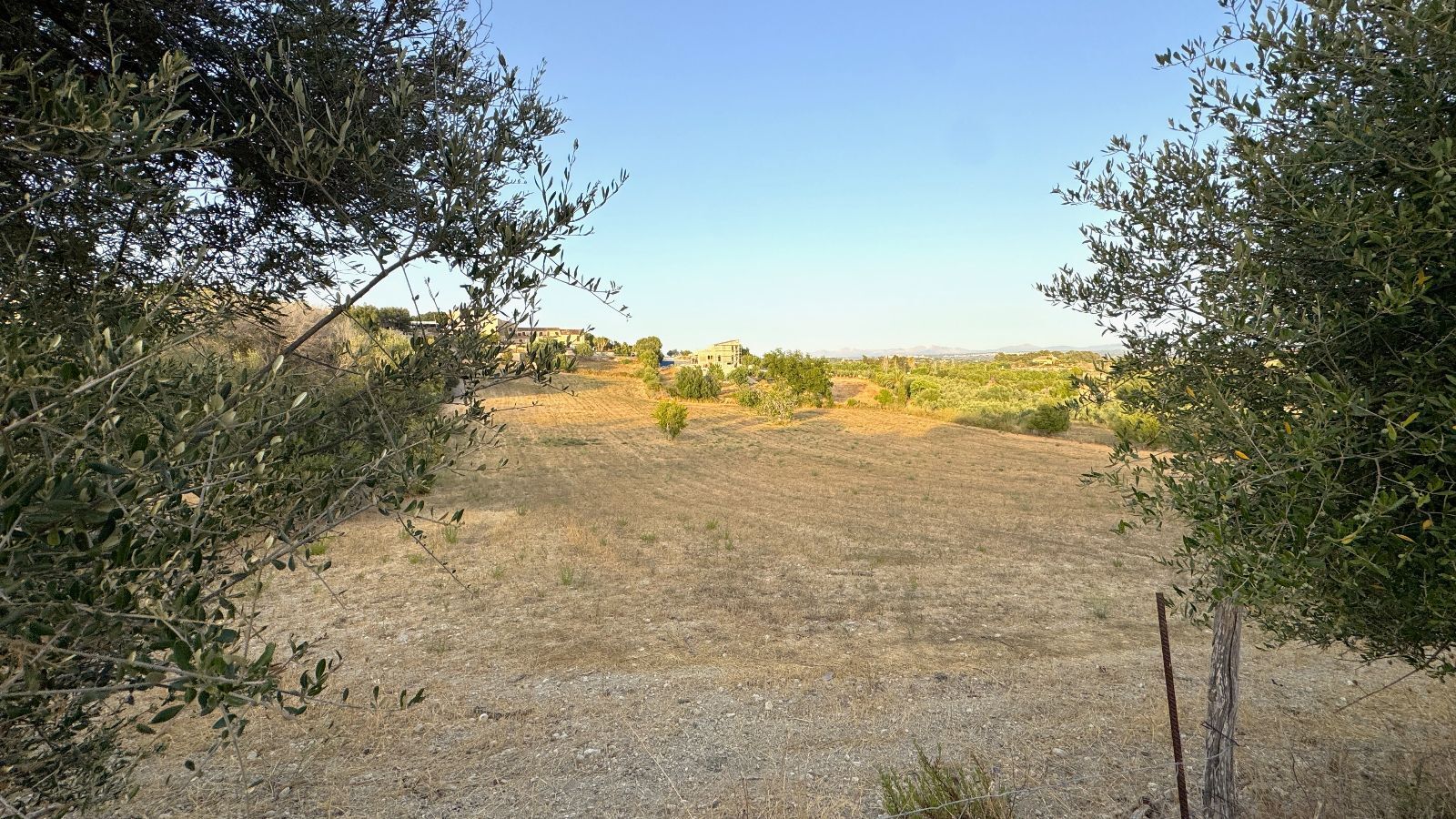 Fincas y solares-Venta-BÃºger-2416313-Foto-19