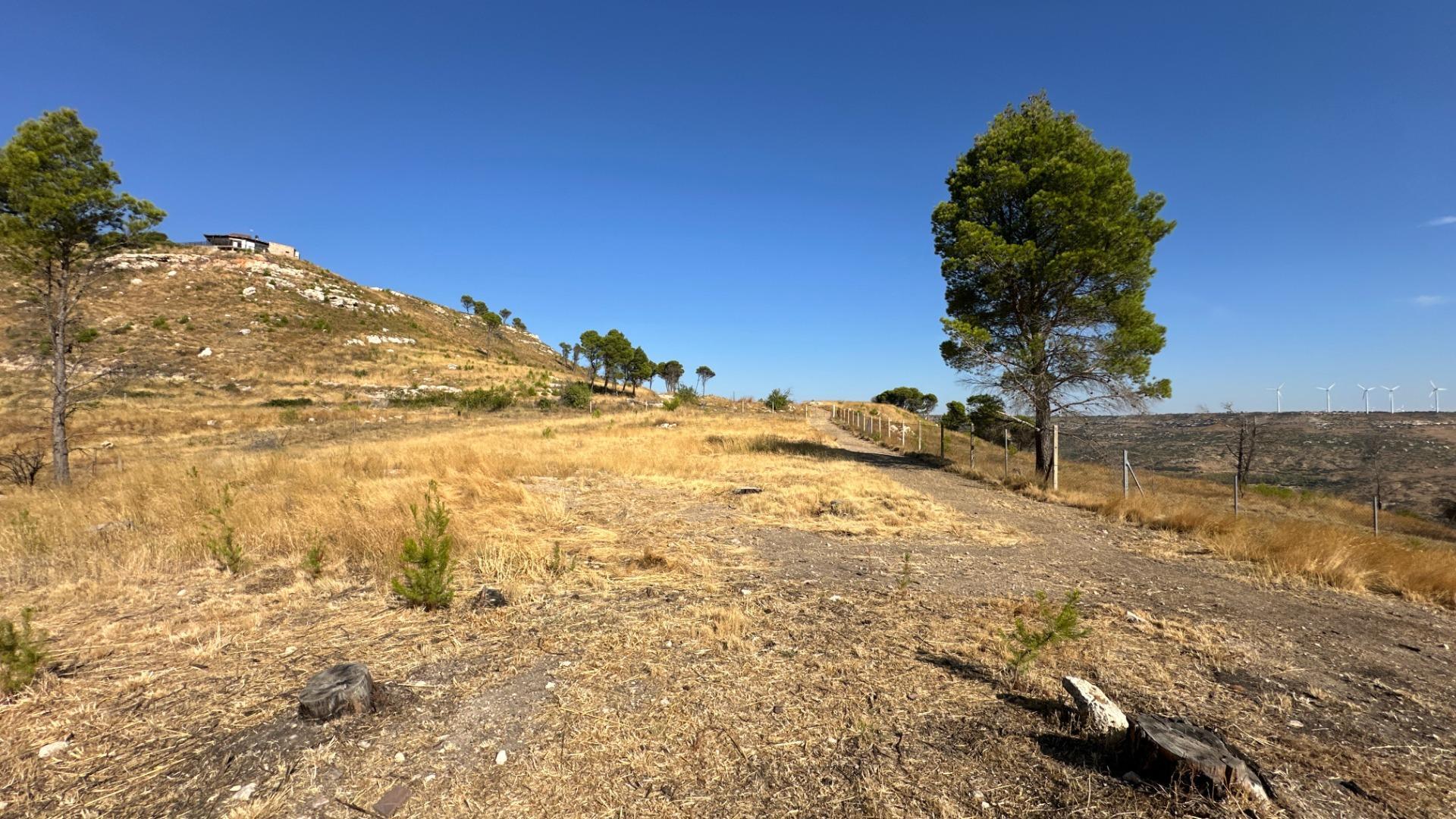 Casas o chalets-Venta-Borja-2411442-Foto-59