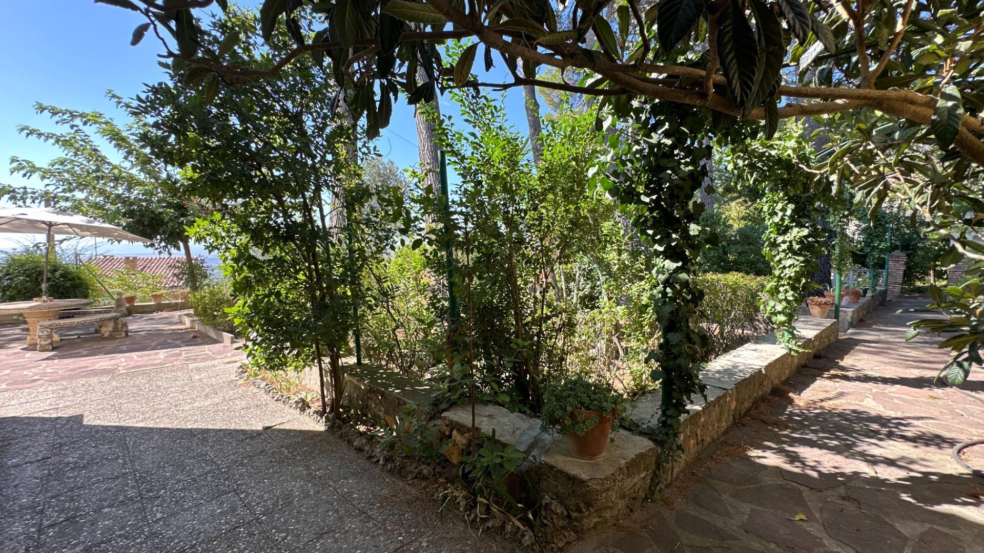 Casas o chalets-Venta-Borja-2411442-Foto-61