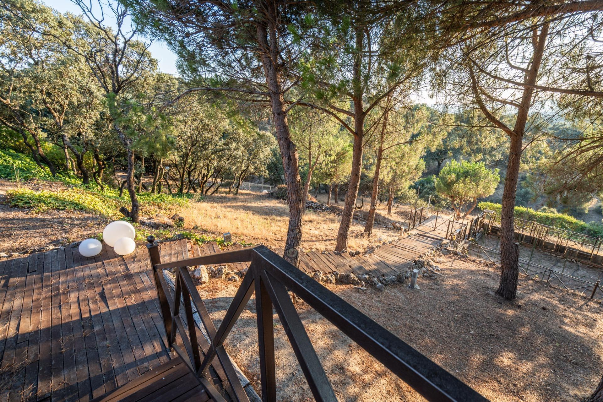 Casas o chalets-Venta-Las Rozas de Madrid-2410902-Foto-25