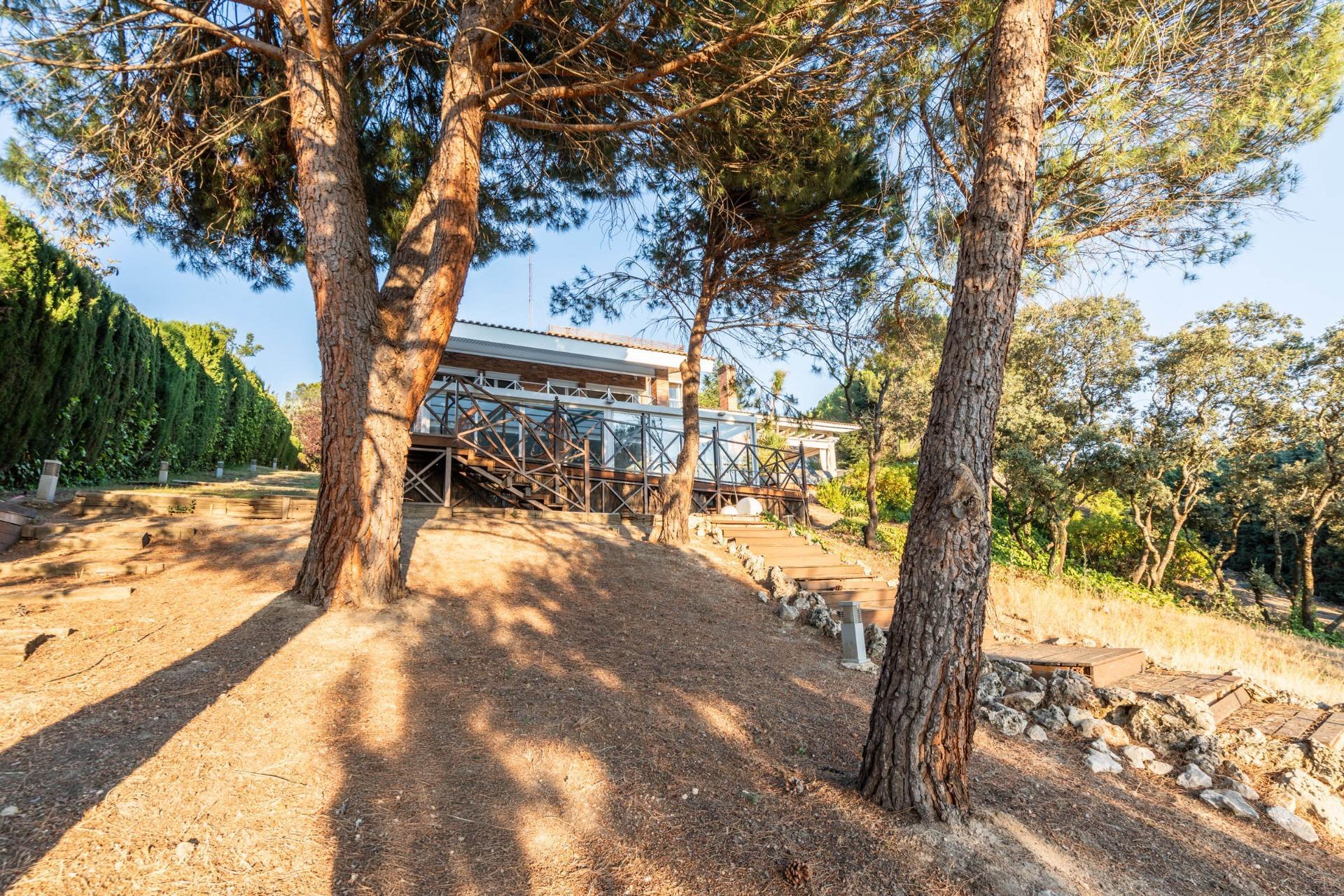 Casas o chalets-Venta-Las Rozas de Madrid-2410902-Foto-57
