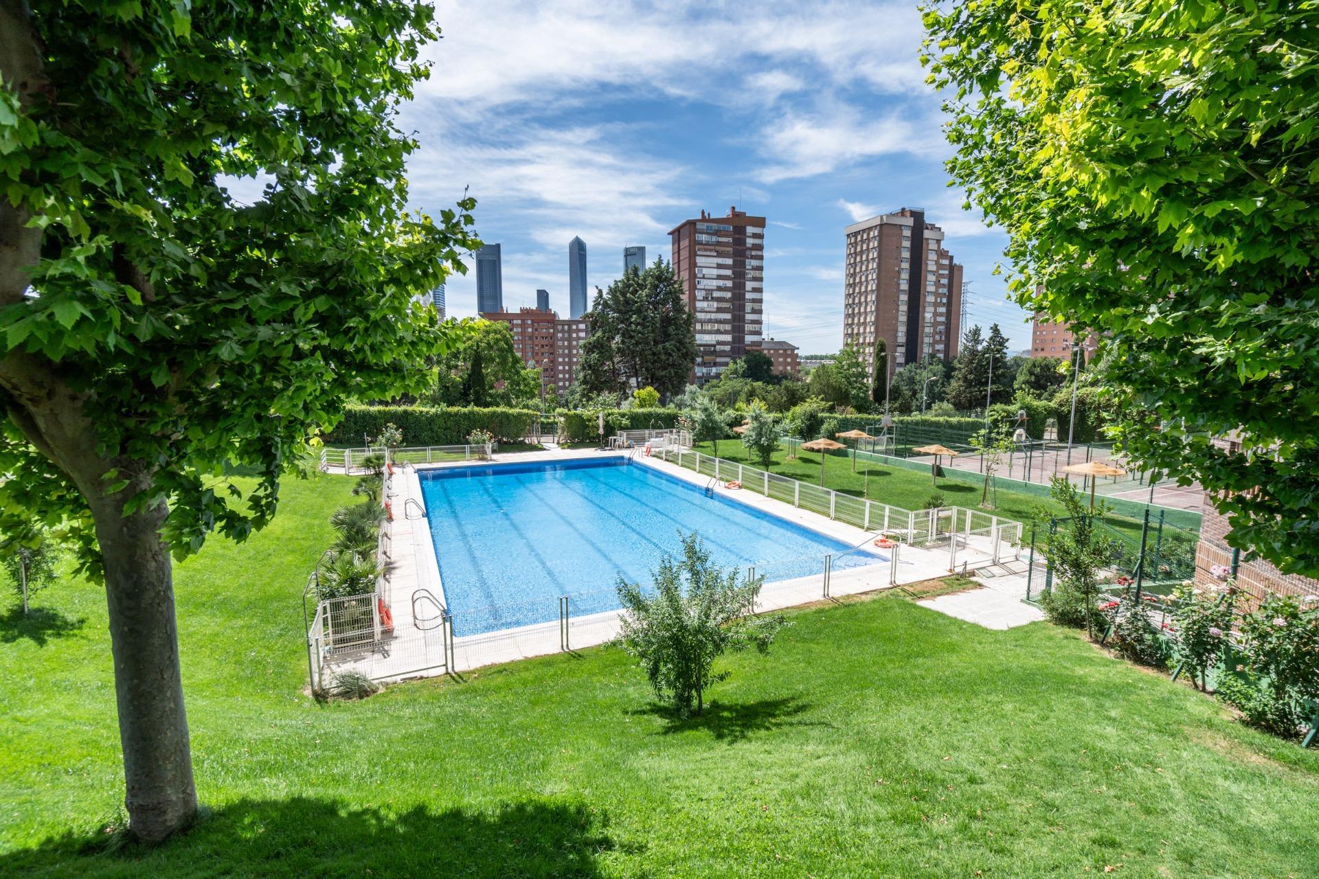 Oficinas-Venta-Madrid-2411208-Foto-13