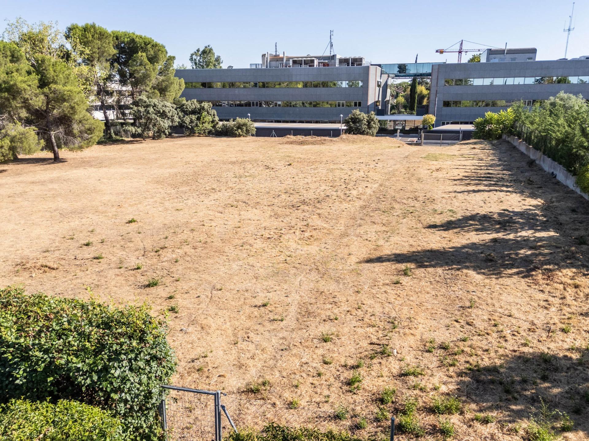 Fincas y solares-Venta-Madrid-2410968-Foto-8