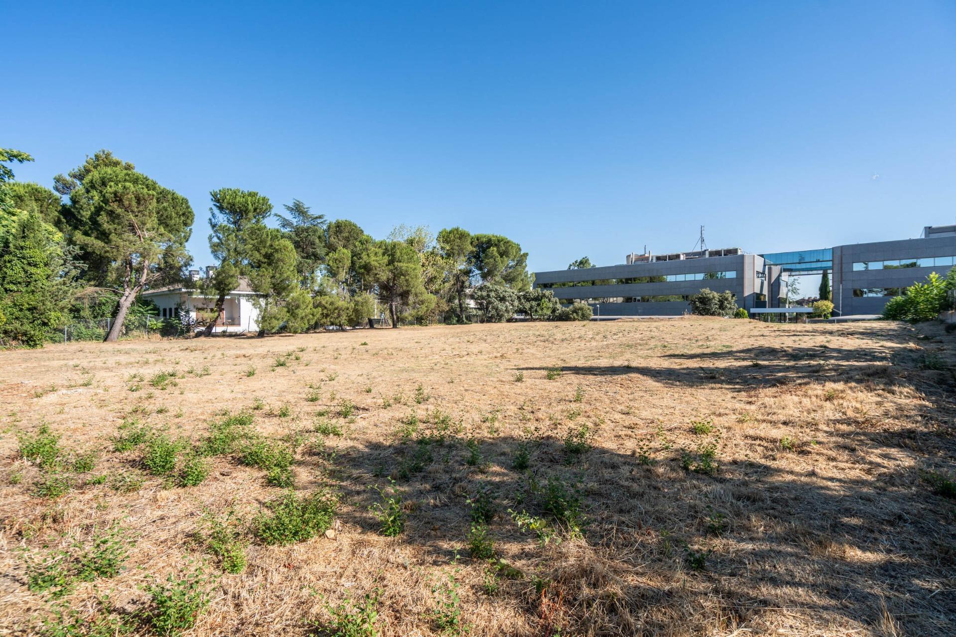 Fincas y solares-Venta-Madrid-2410968-Foto-10