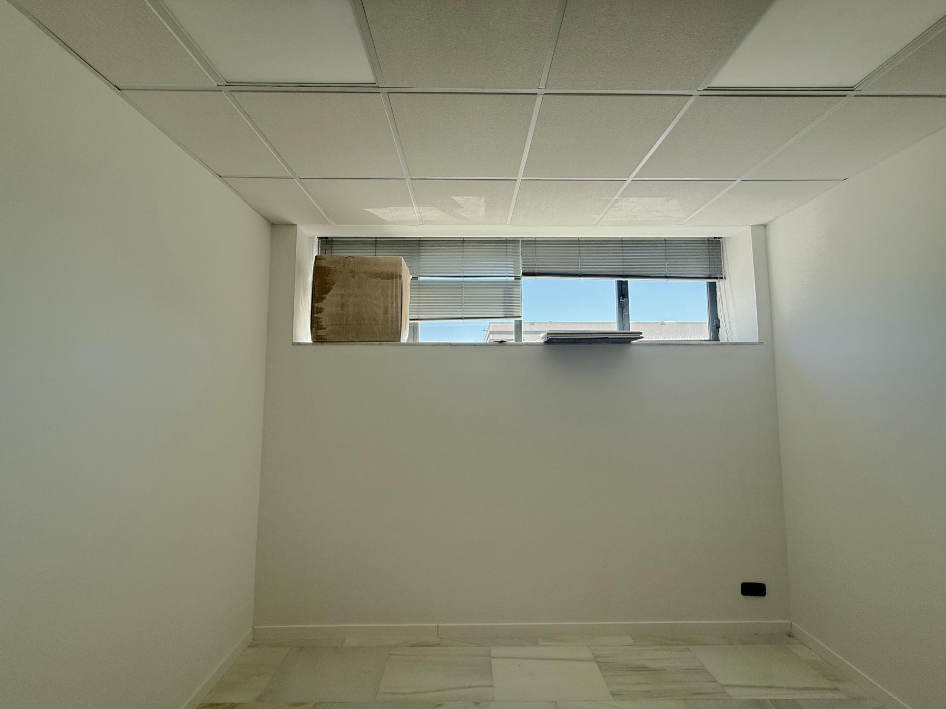 Negocios-Venta-Las Rozas de Madrid-2410977-Foto-12