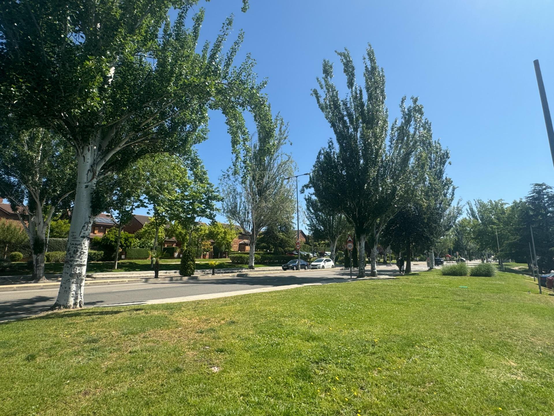 Negocios-Venta-Las Rozas de Madrid-1883900-Foto-9