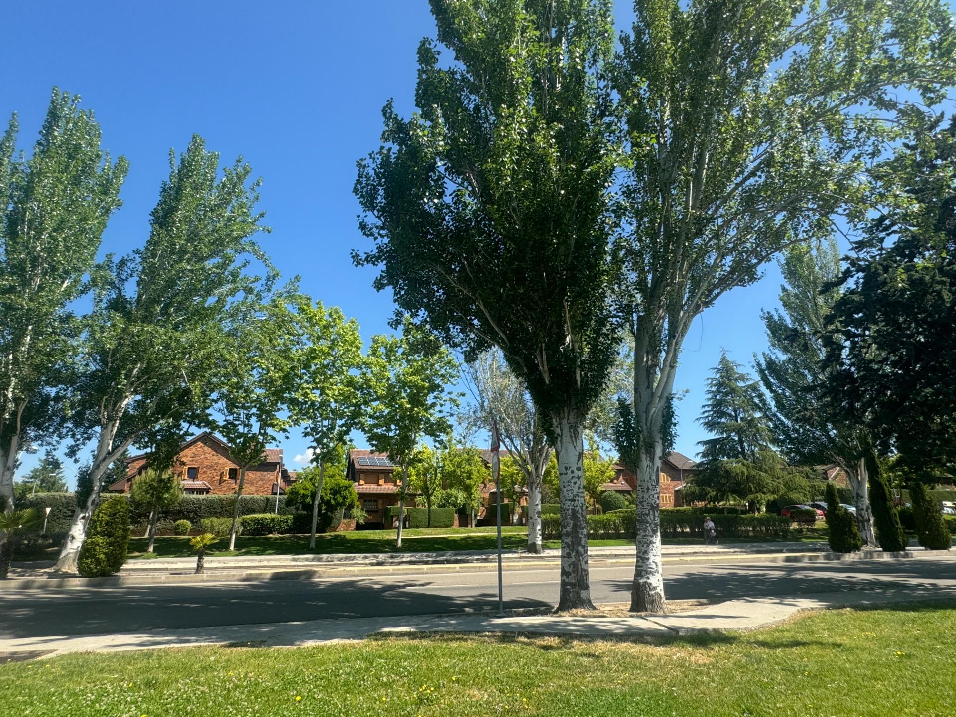 Negocios-Venta-Las Rozas de Madrid-1883900-Foto-26