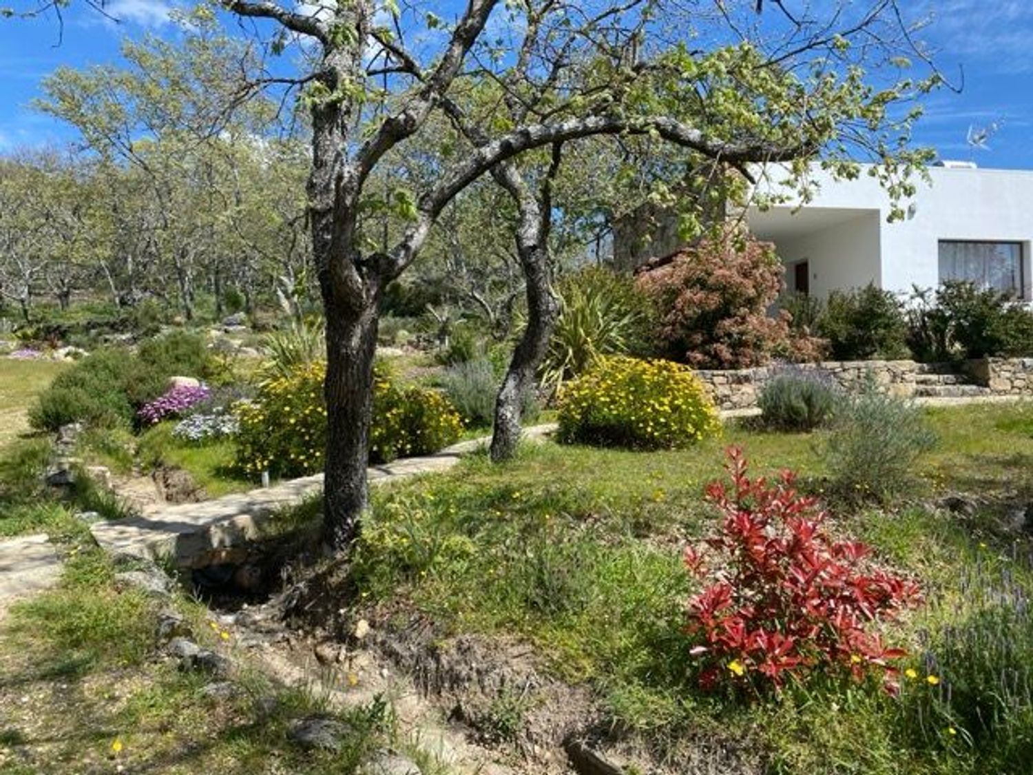 Casas o chalets-Venta-Villamiel-2420954-Foto-8