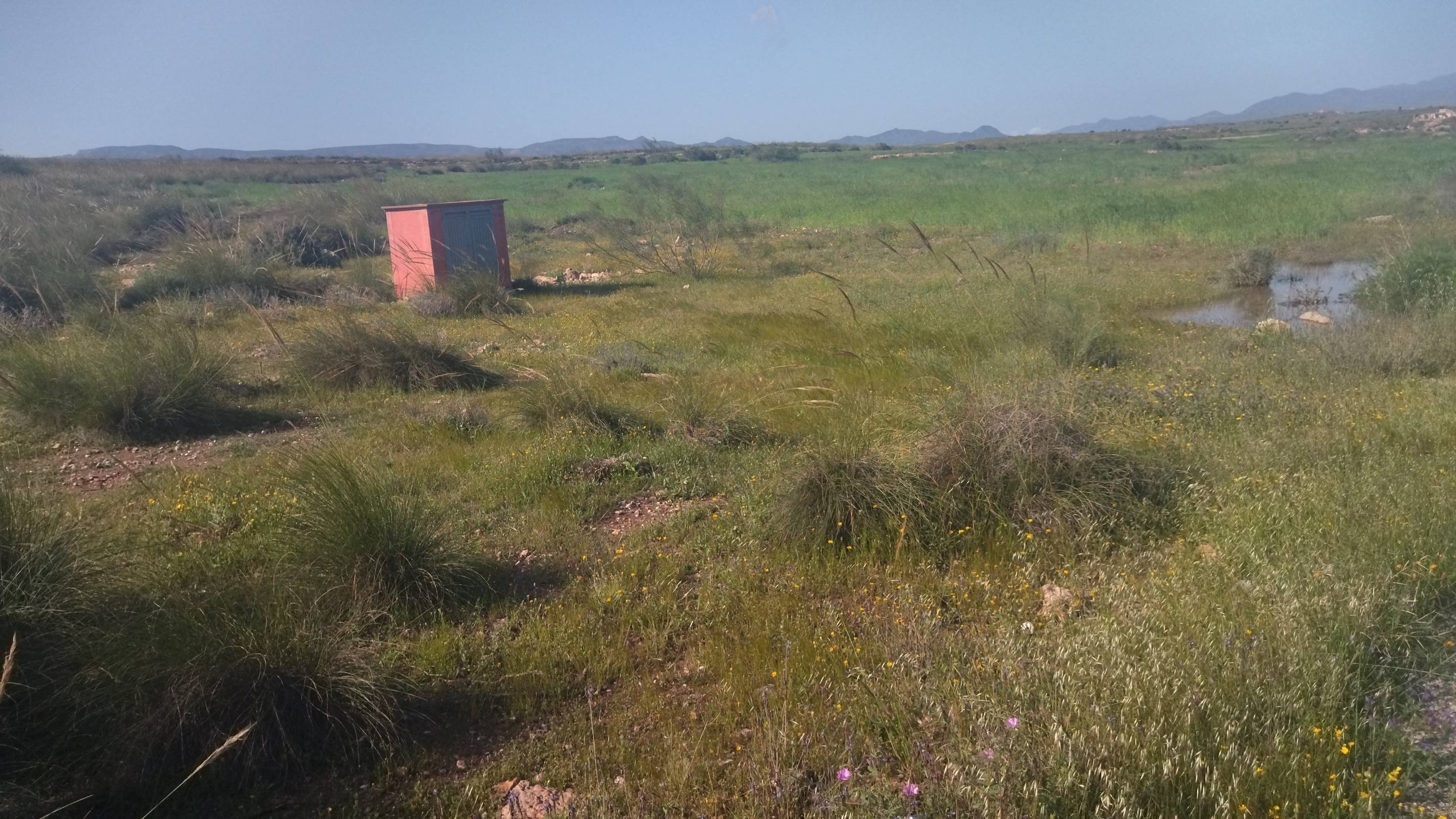 Fincas y solares-Venta-CAMPOHERMOSO-2411004-Foto-10