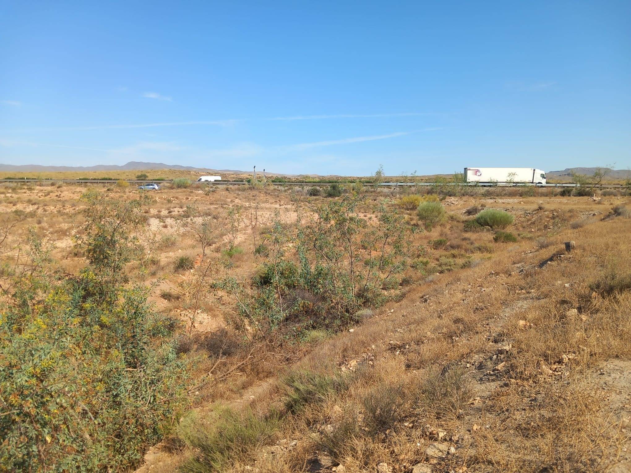 Fincas y solares-Venta-CAMPOHERMOSO-2411004-Foto-8