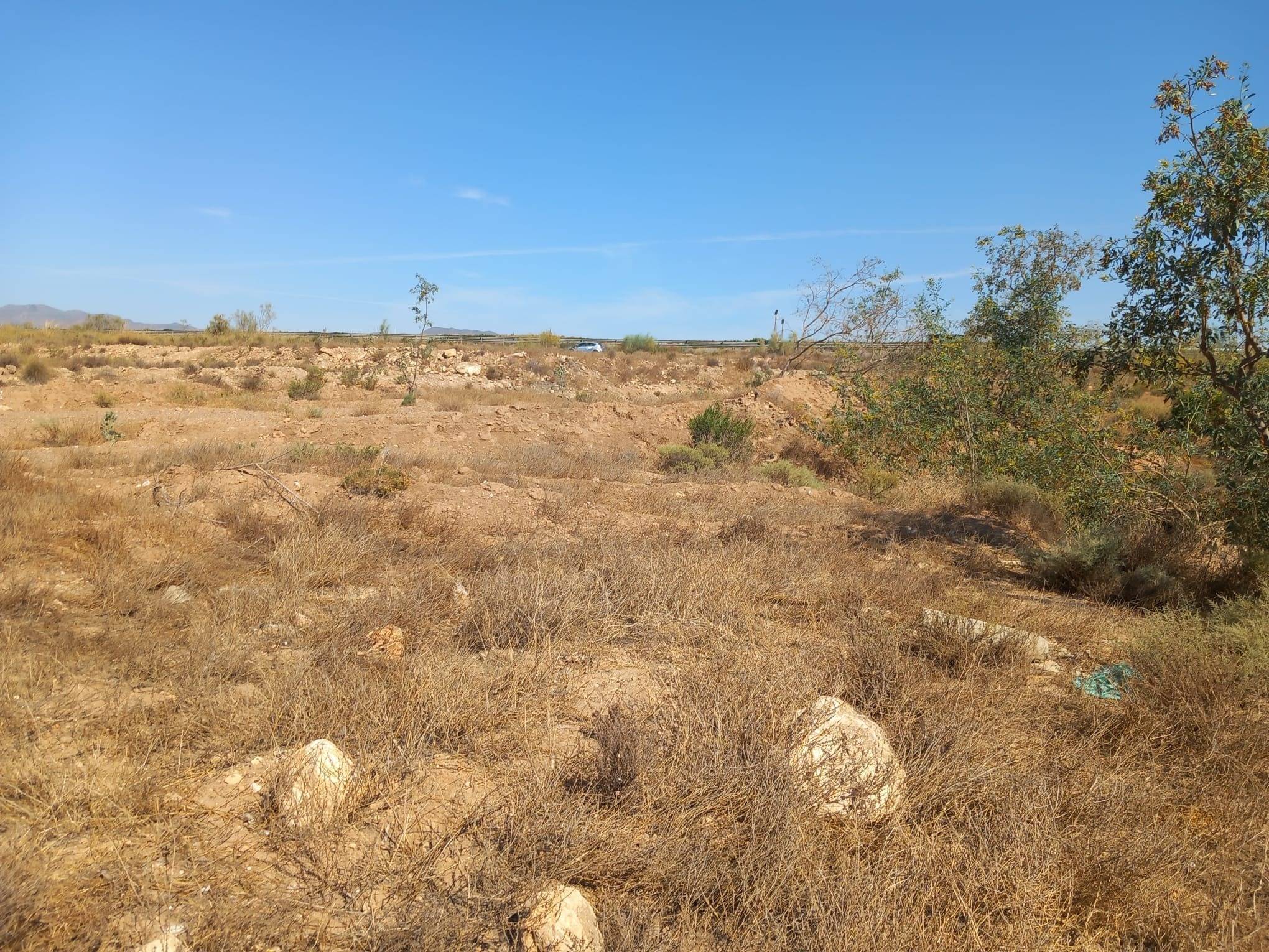 Fincas y solares-Venta-CAMPOHERMOSO-2411004-Foto-15