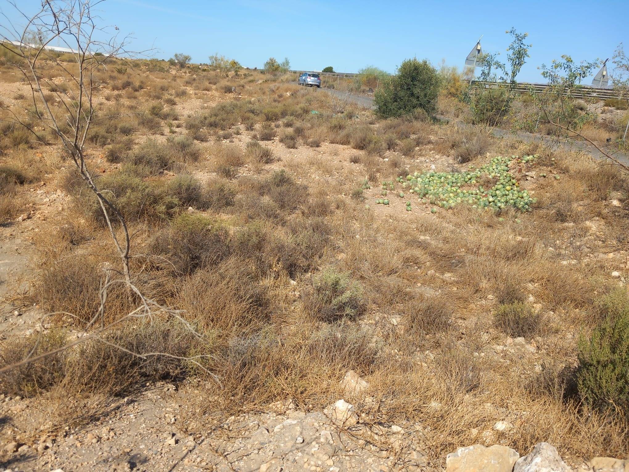 Fincas y solares-Venta-CAMPOHERMOSO-2411004-Foto-23