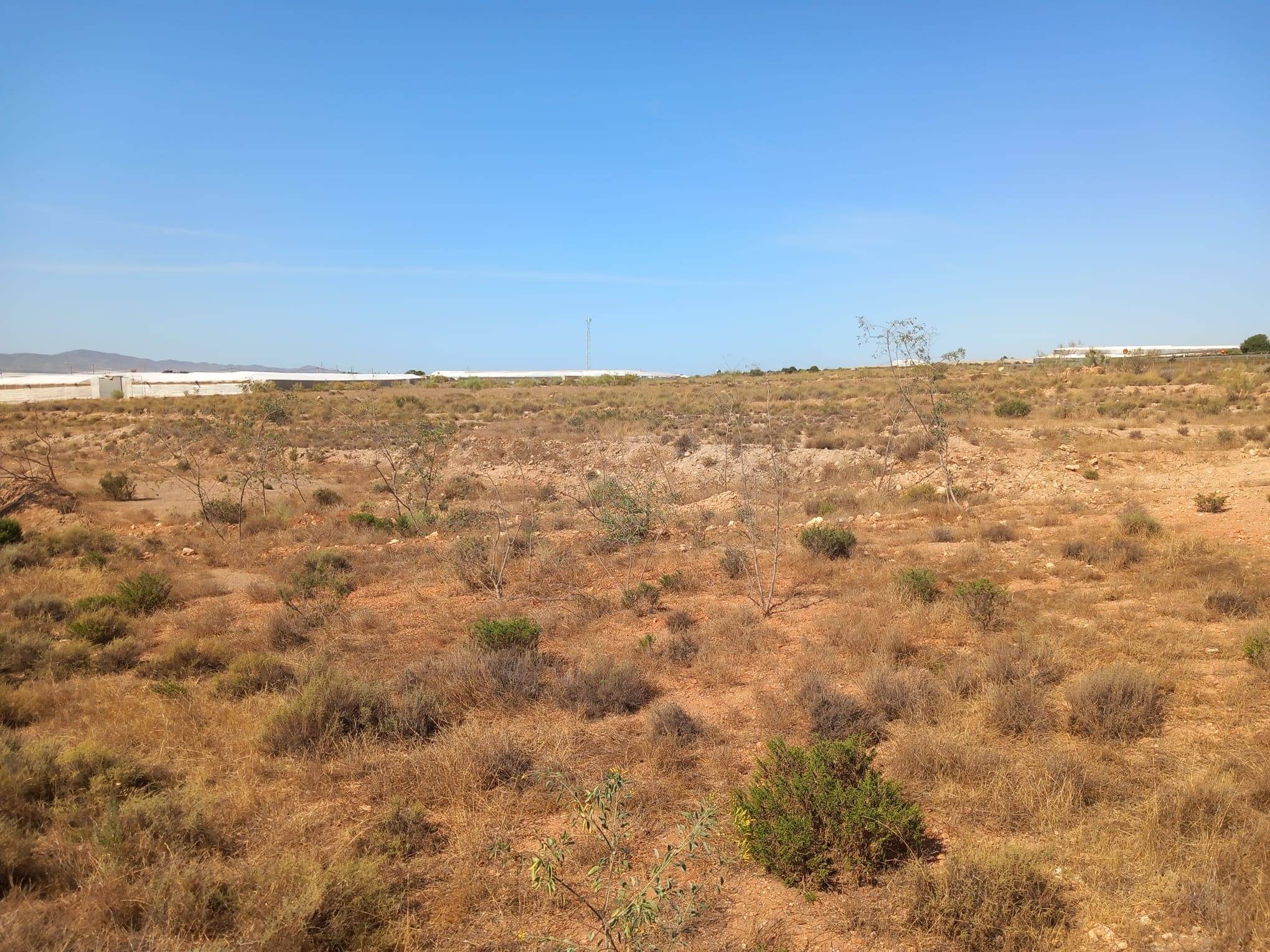 Fincas y solares-Venta-CAMPOHERMOSO-2411004-Foto-19