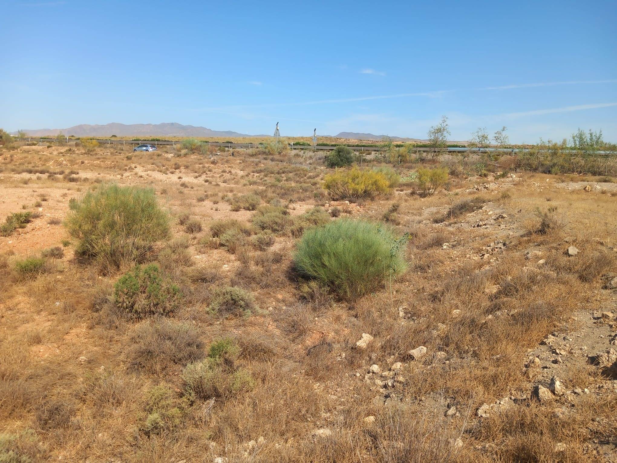 Fincas y solares-Venta-CAMPOHERMOSO-2411004-Foto-21