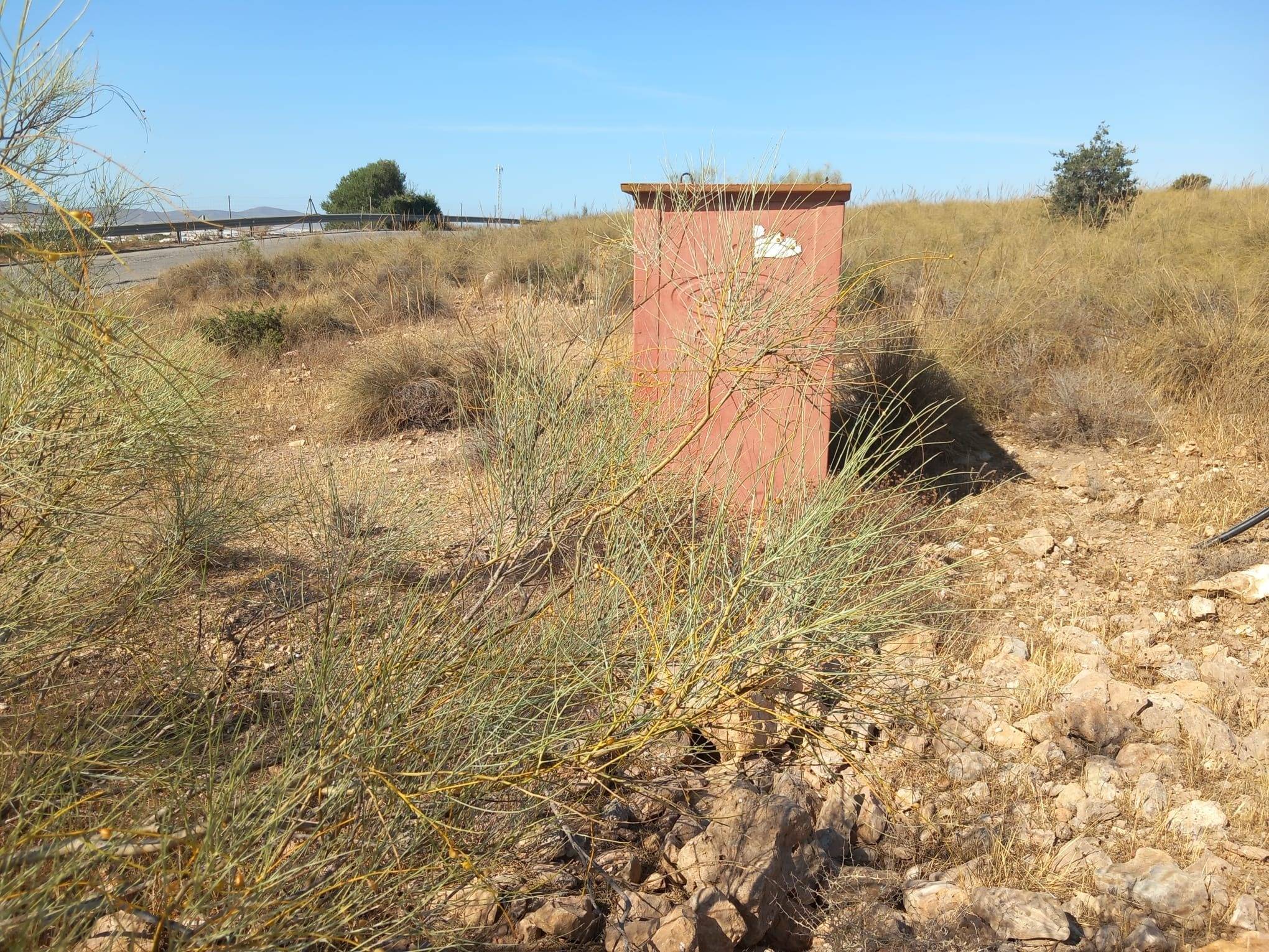 Fincas y solares-Venta-CAMPOHERMOSO-2411004-Foto-33