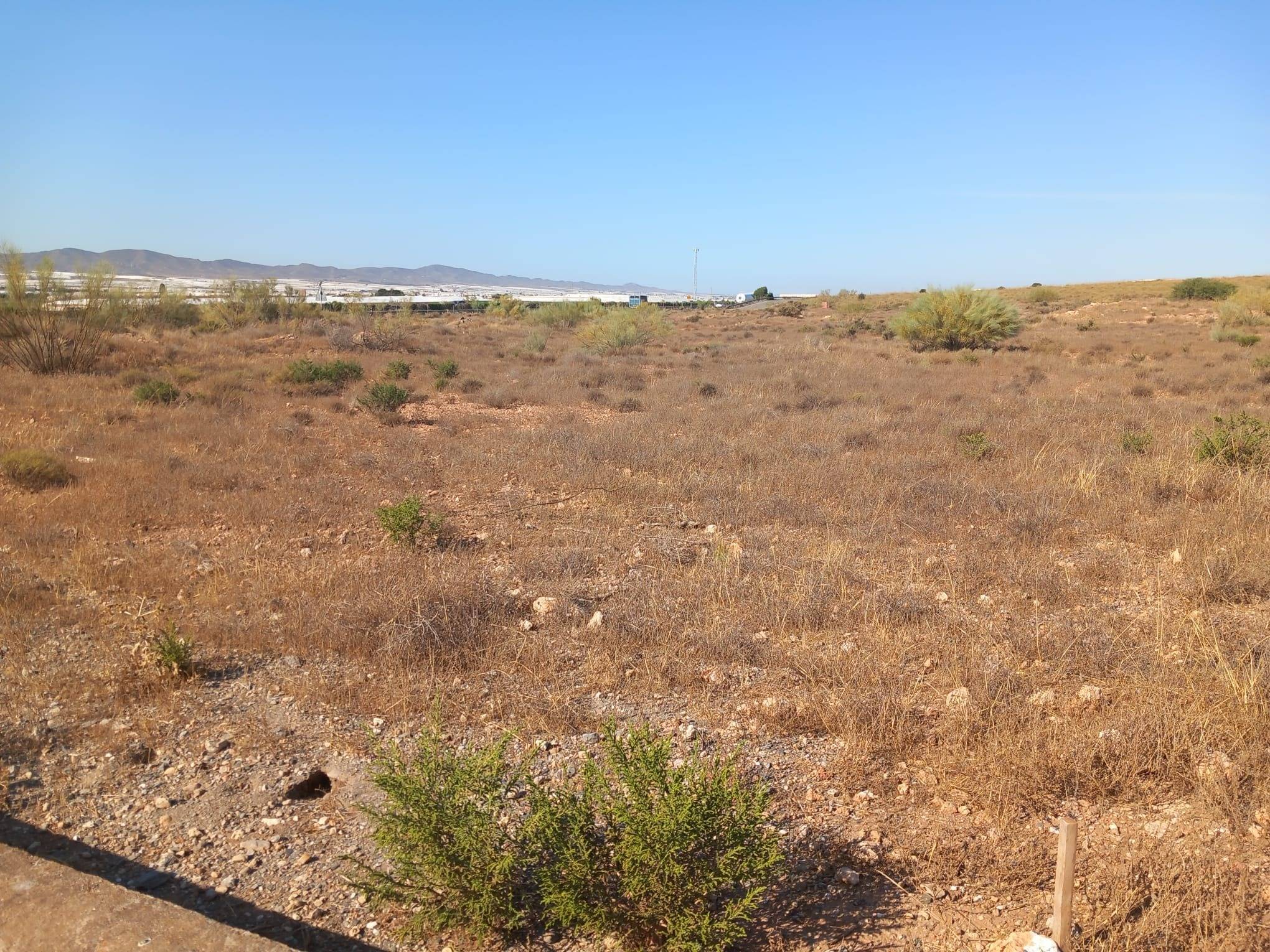 Fincas y solares-Venta-CAMPOHERMOSO-2411004-Foto-63