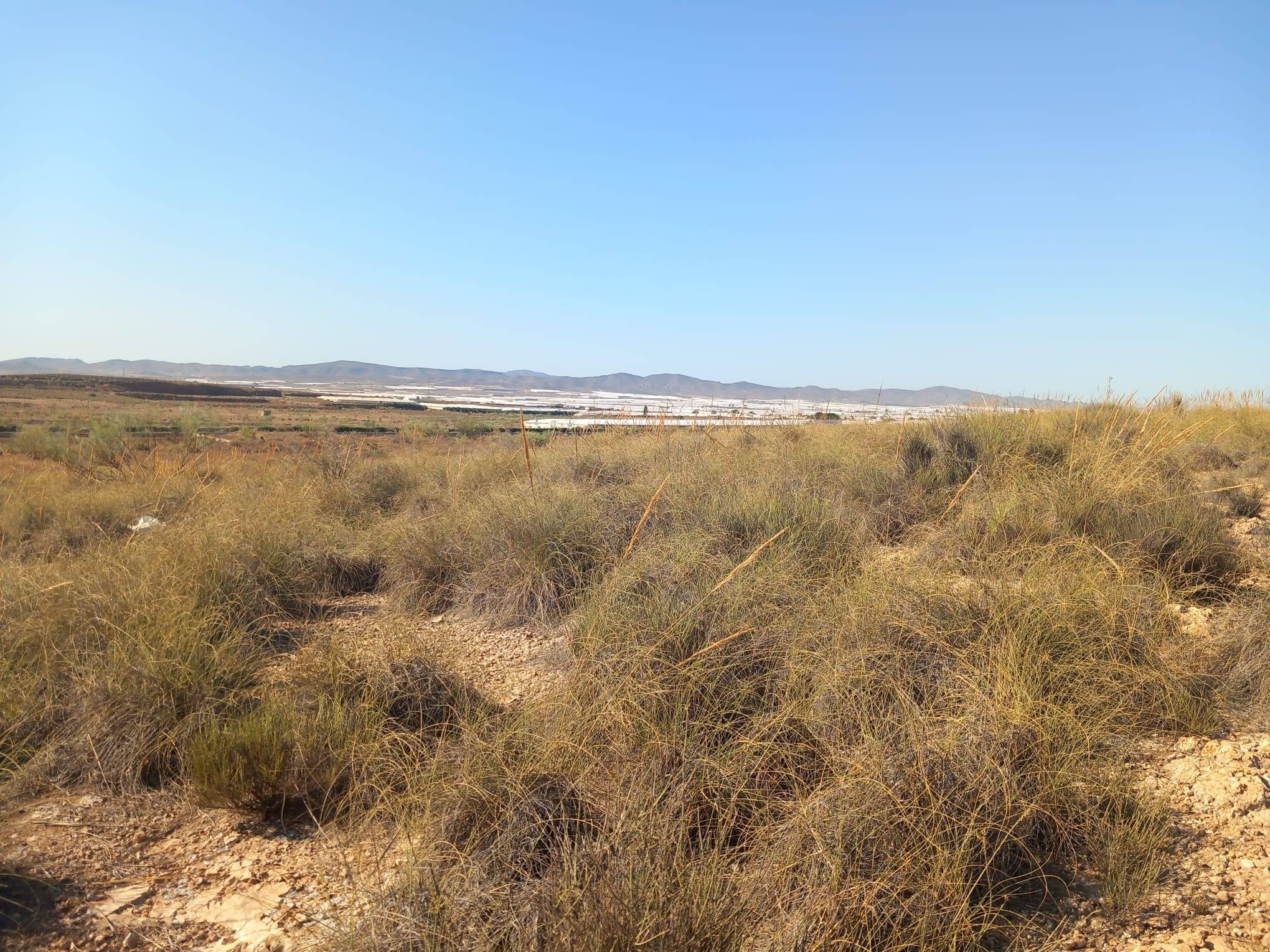 Fincas y solares-Venta-CAMPOHERMOSO-2411004-Foto-66
