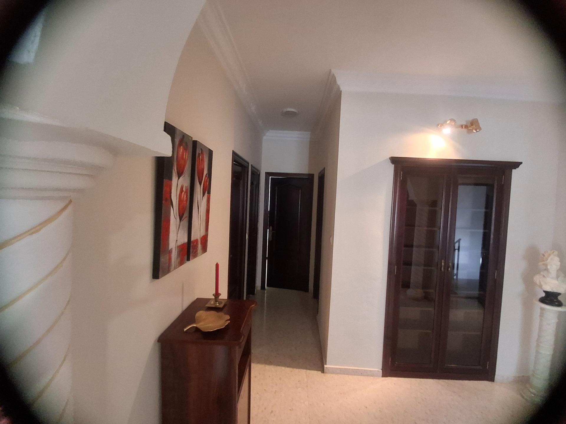 Pisos-Alquiler-Cantillana-2411352-Foto-7