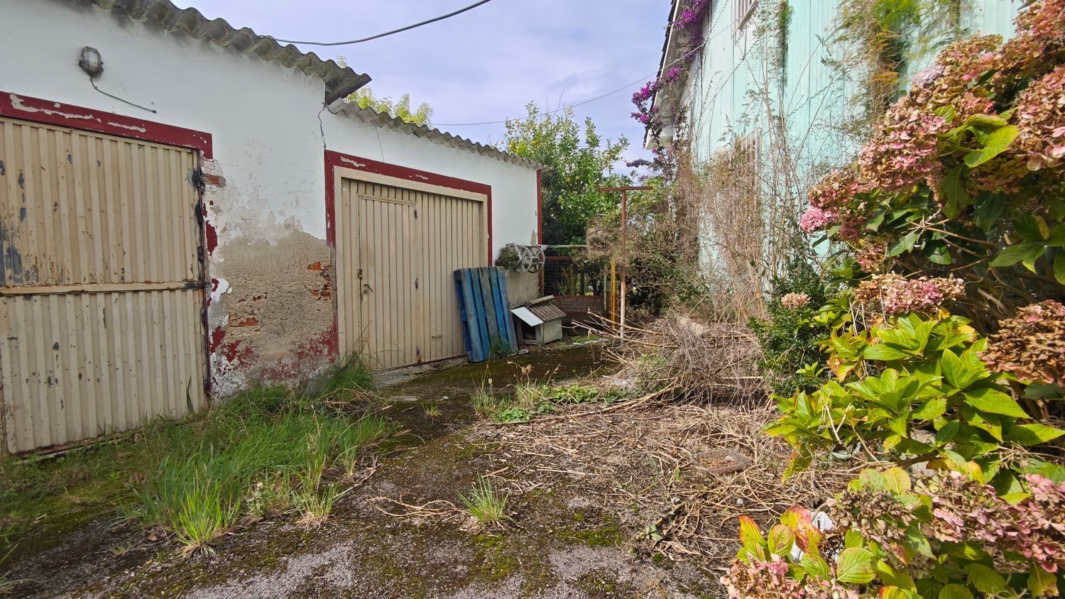 Casas o chalets-Venta-Las Tres Villas-2411157-Foto-47