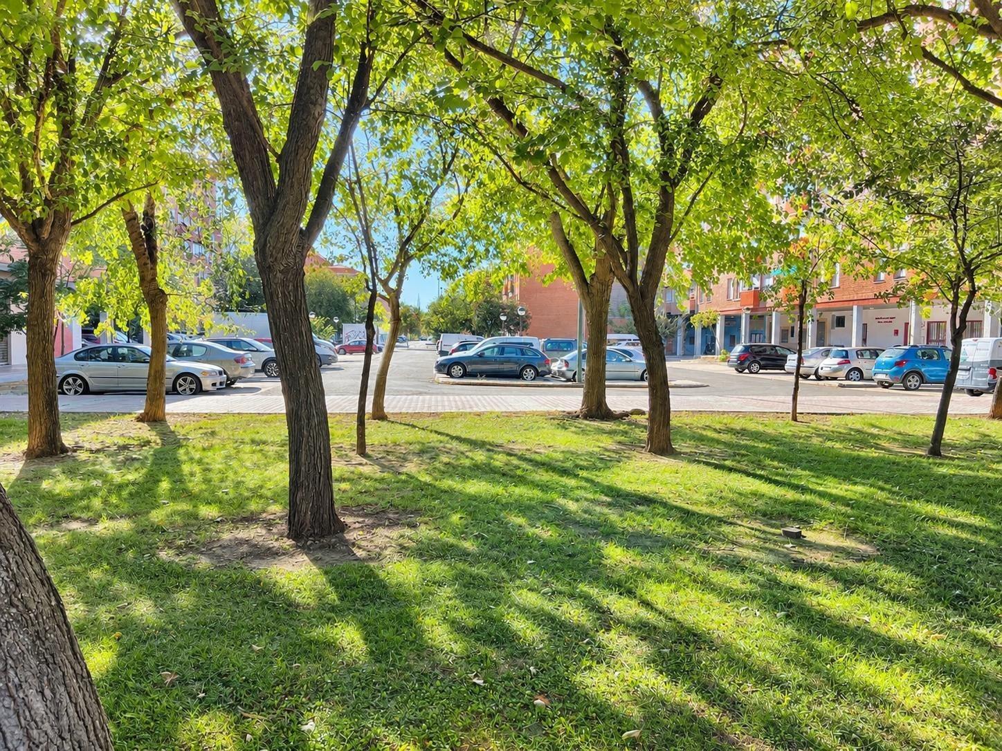 Pisos-Venta-Zaragoza-2411202-Foto-10