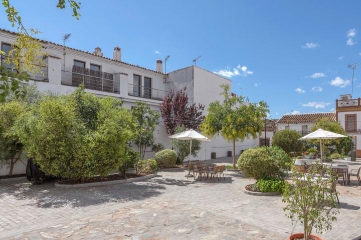 Edificios-Venta-El Pedroso-2411223-Foto-14