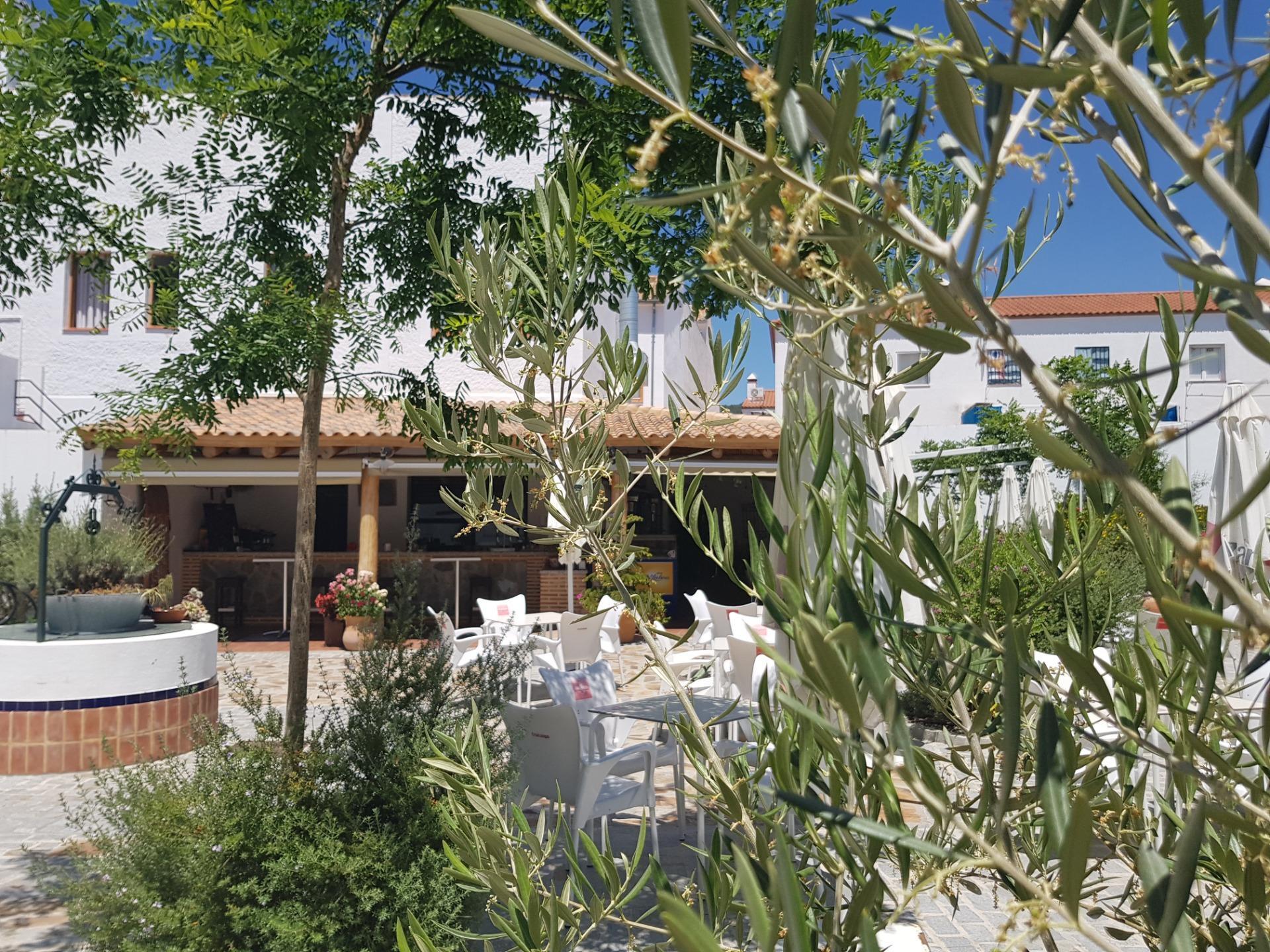 Edificios-Venta-El Pedroso-2411223-Foto-9