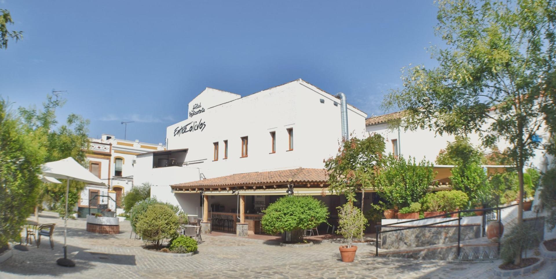 Edificios-Venta-El Pedroso-2411223-Foto-15