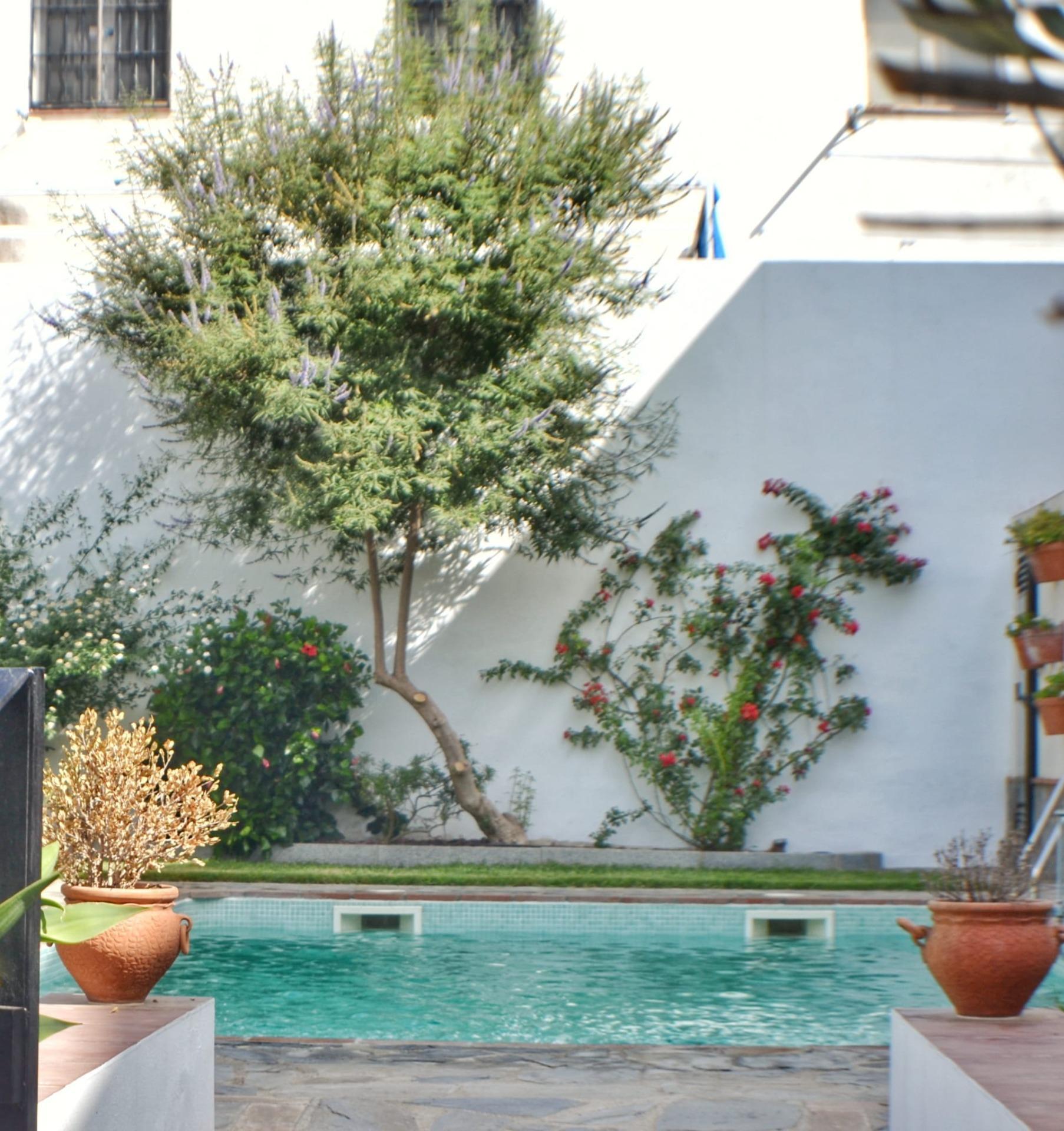 Edificios-Venta-El Pedroso-2411223-Foto-19